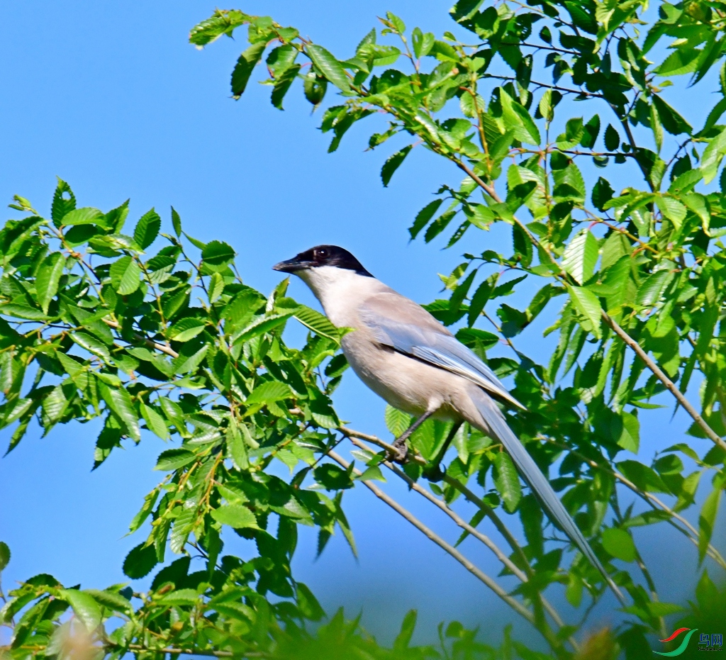 DSC_4188.jpg