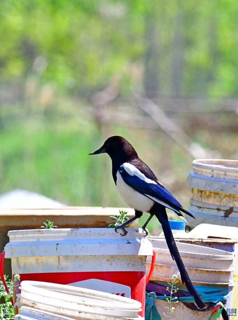 DSC_4296.jpg