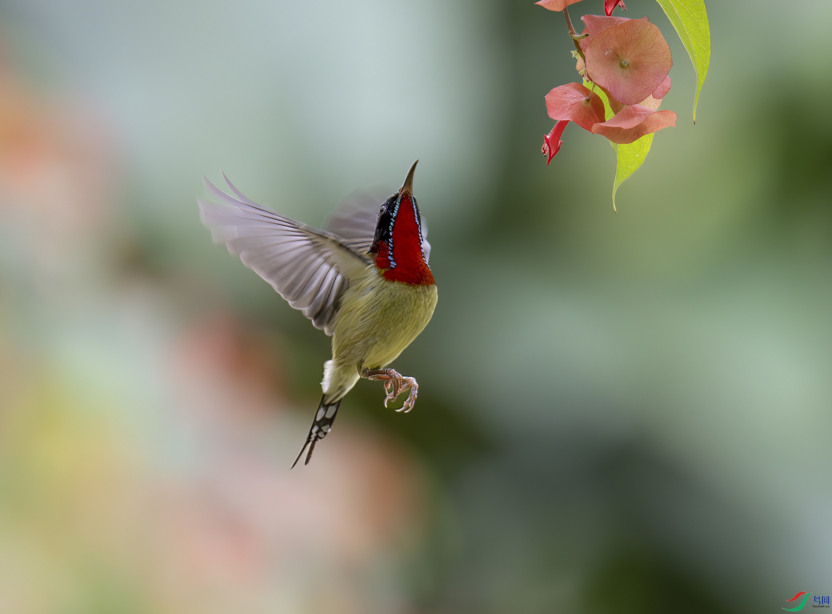 304a35ccfaefce270b9caab044f45ad ����.jpg