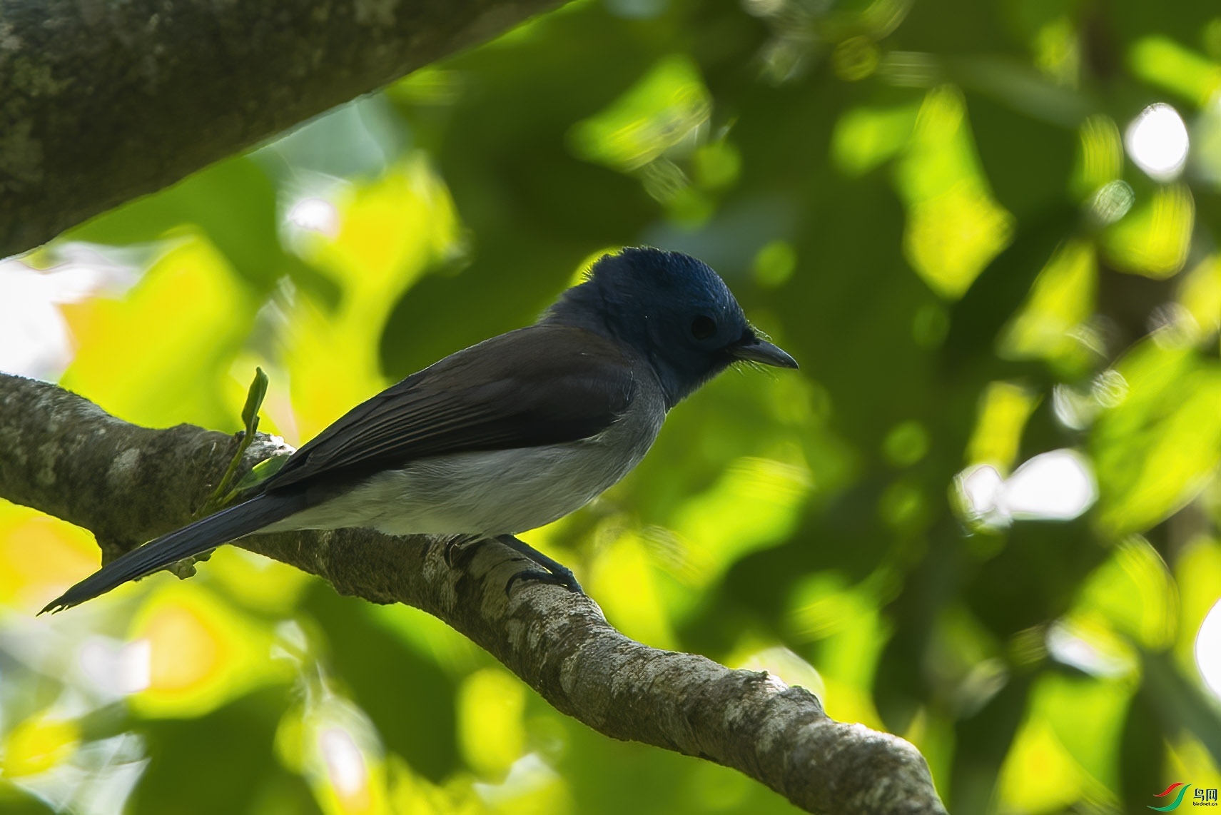 DSC_0626.jpg