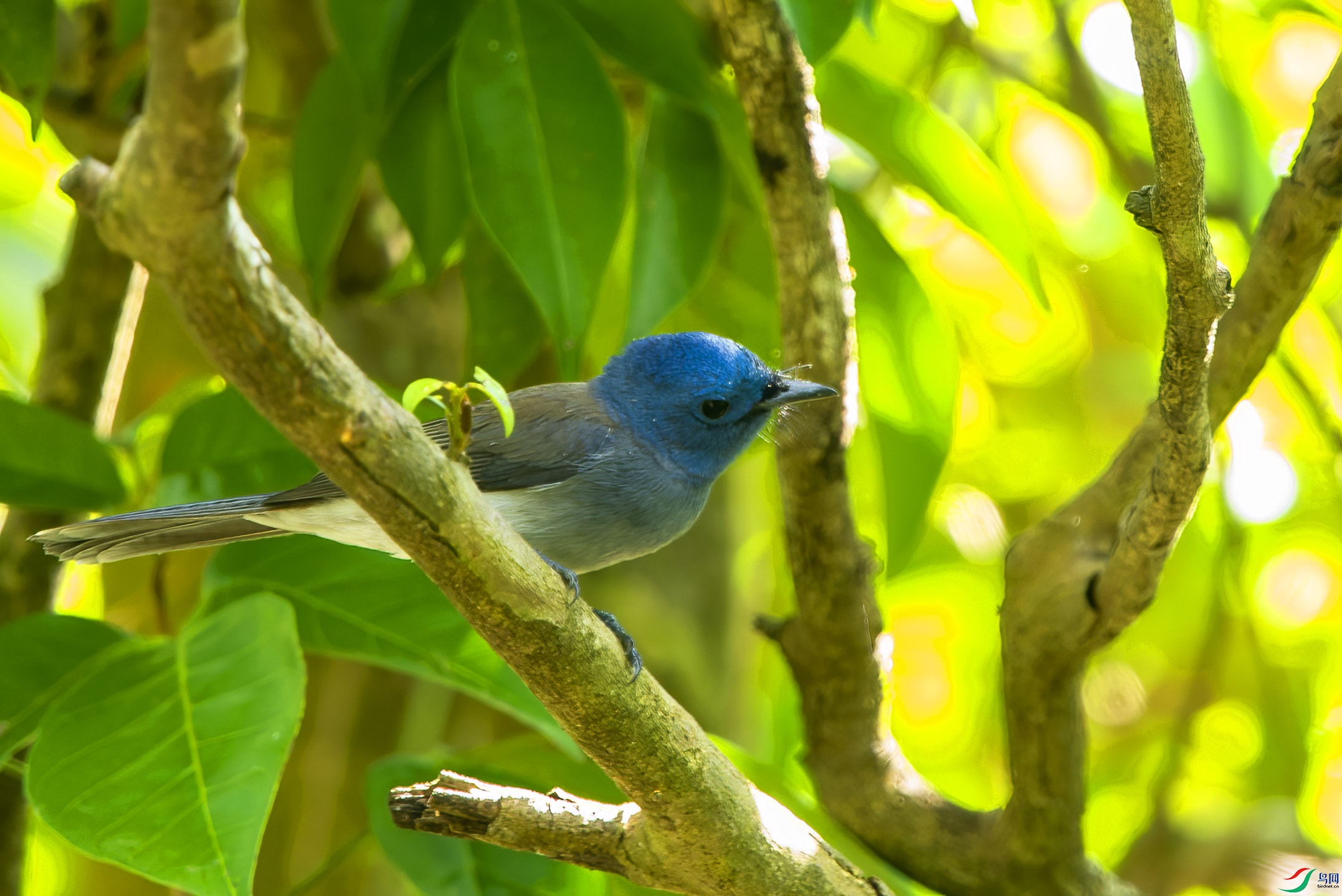 DSC_0640.jpg