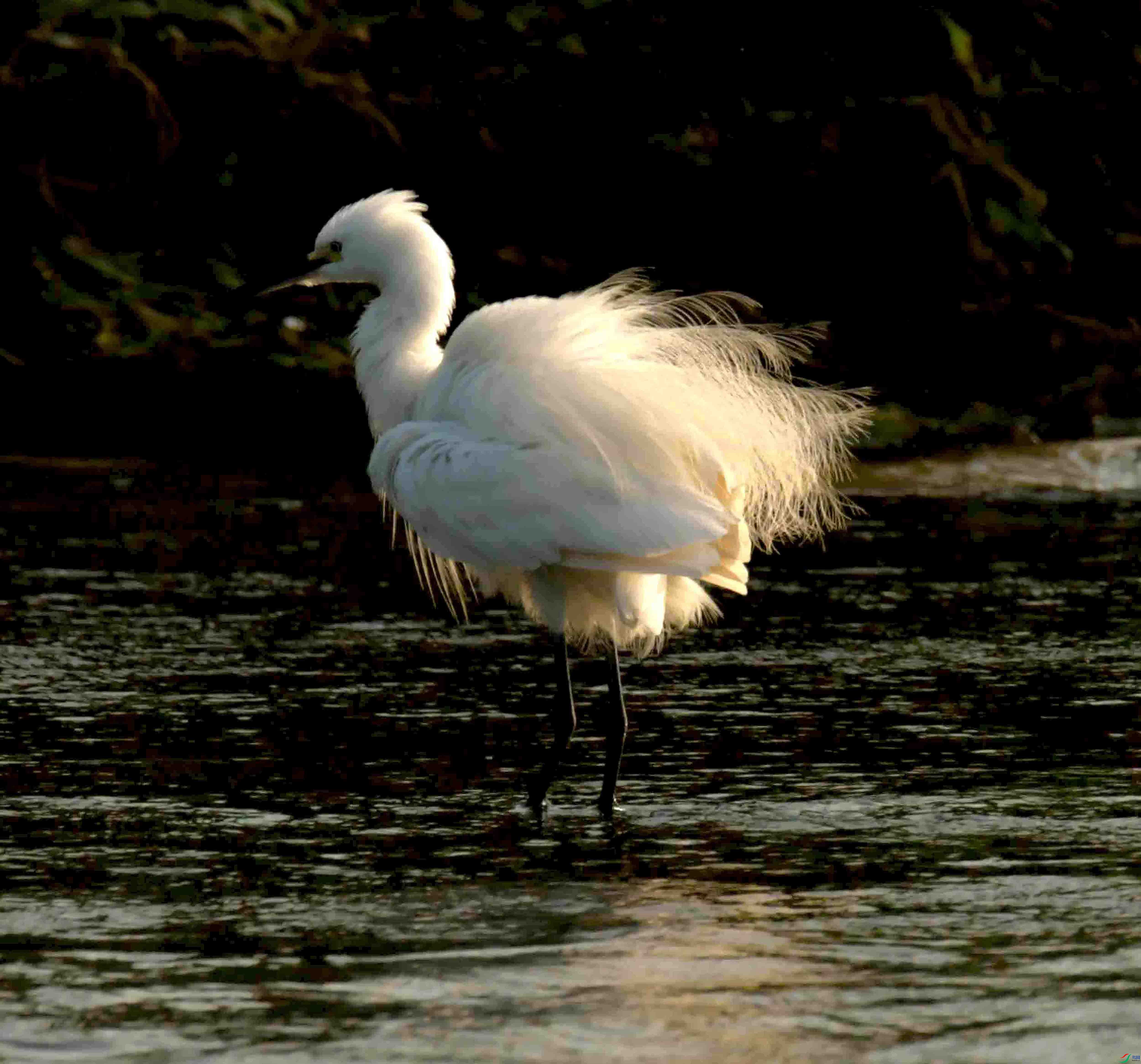 DSC_2853.JPG