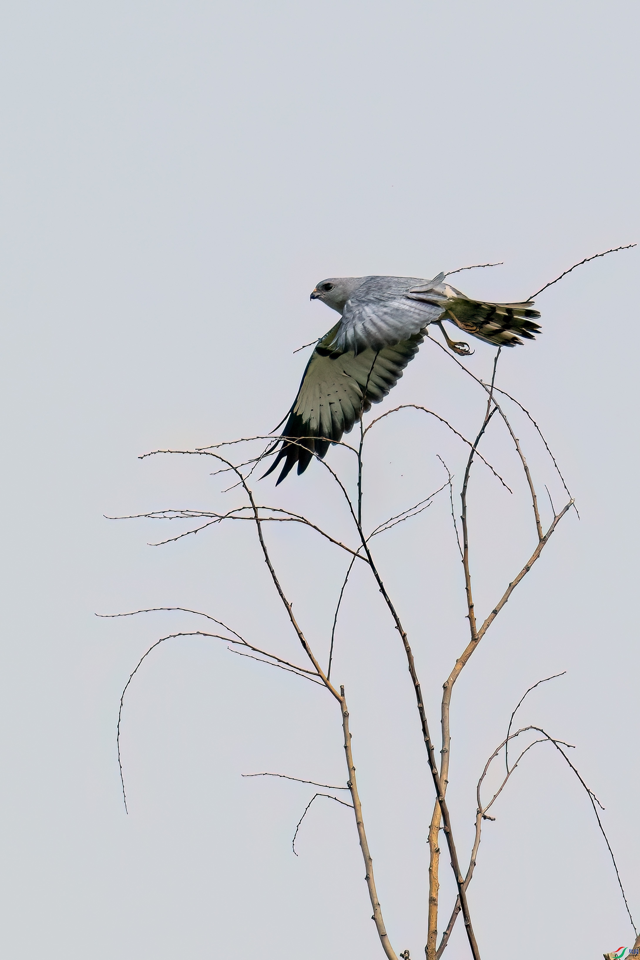 DSC_2146.jpg