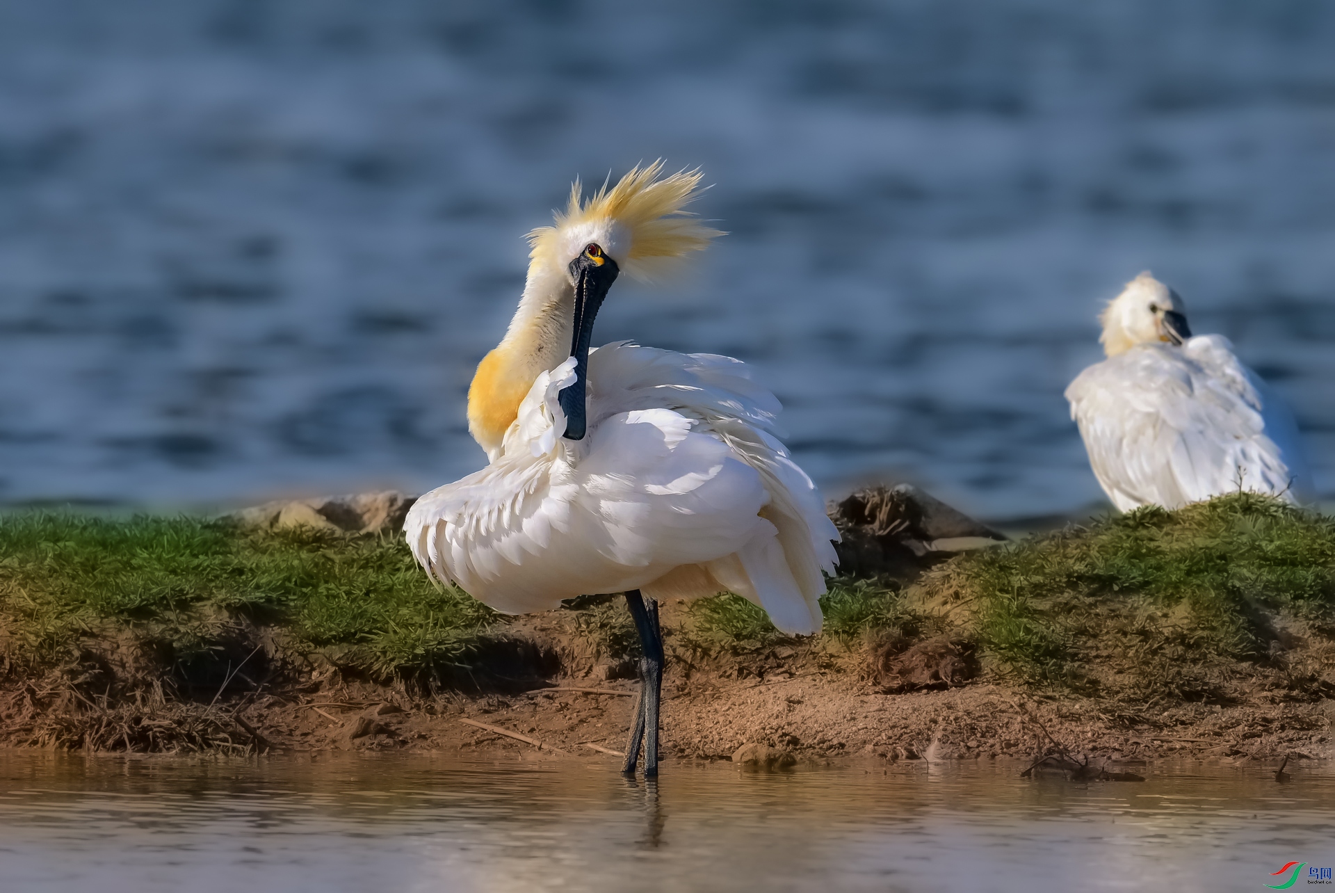 DSC_4319==1w.jpg