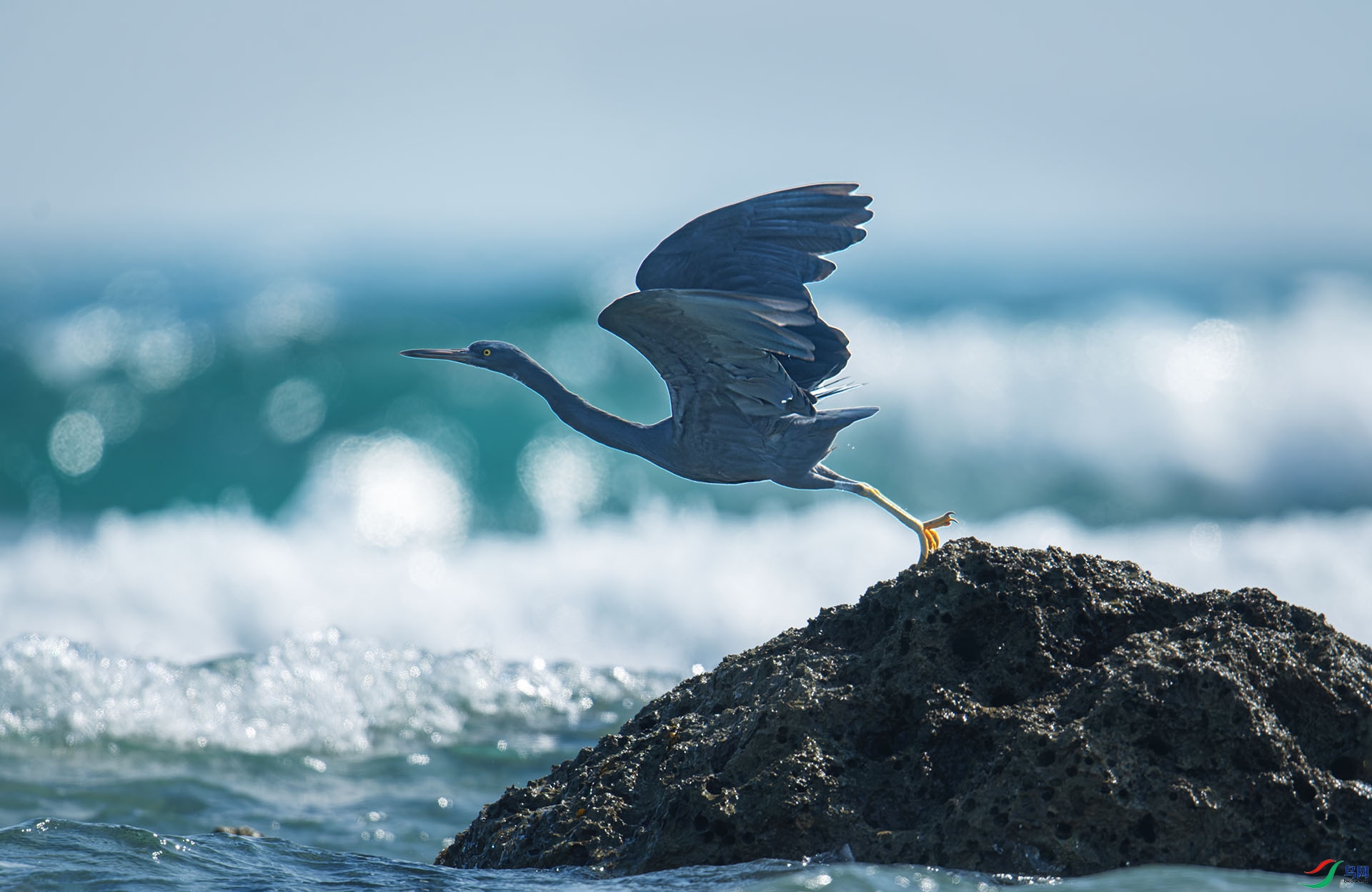 DSC_2417-1.jpg