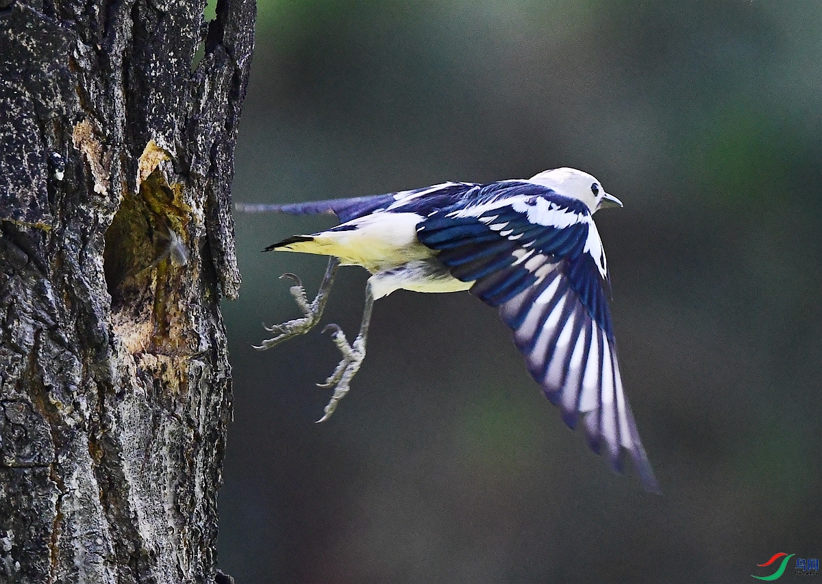 DSC_6588.JPG