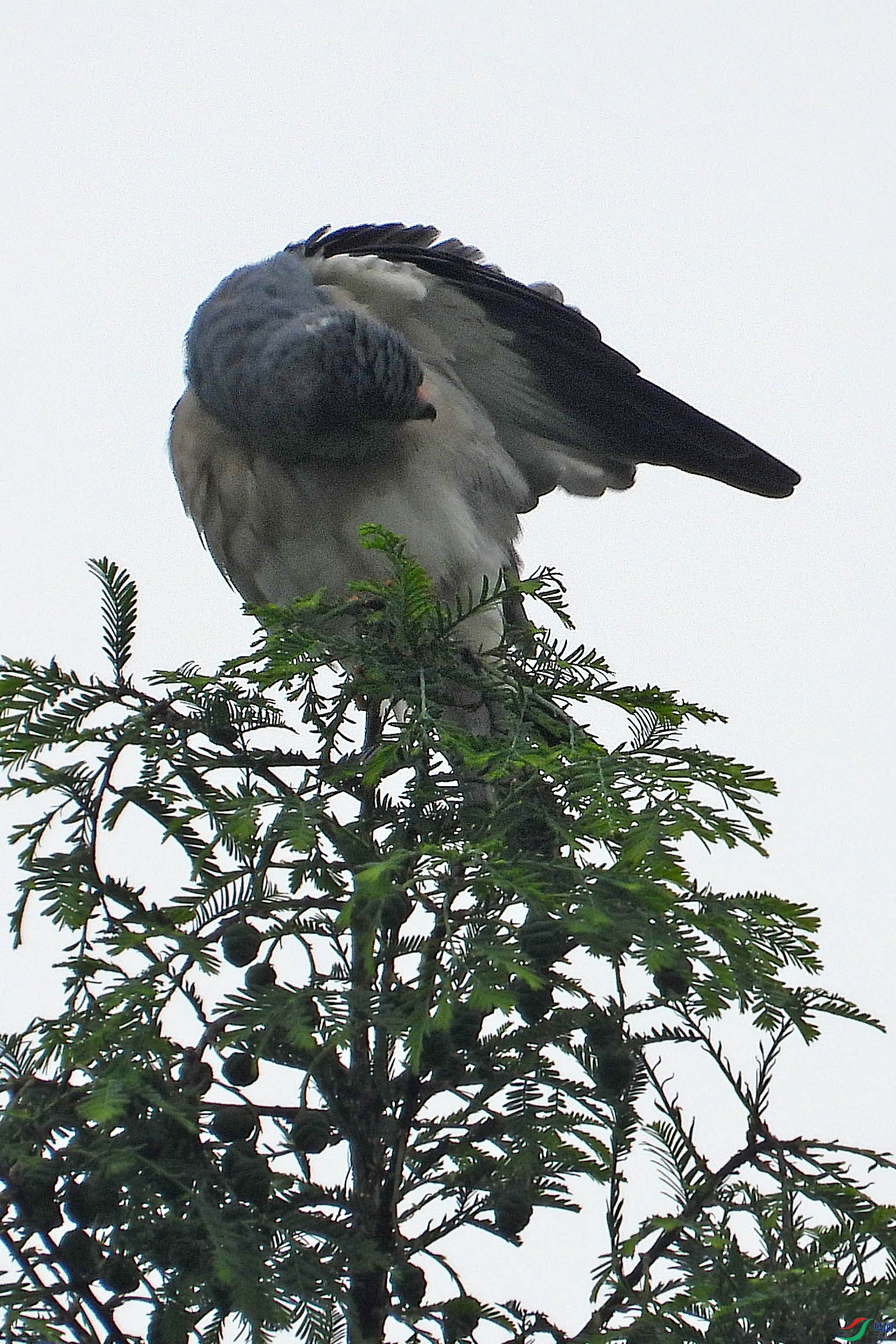DSCN5980.JPG