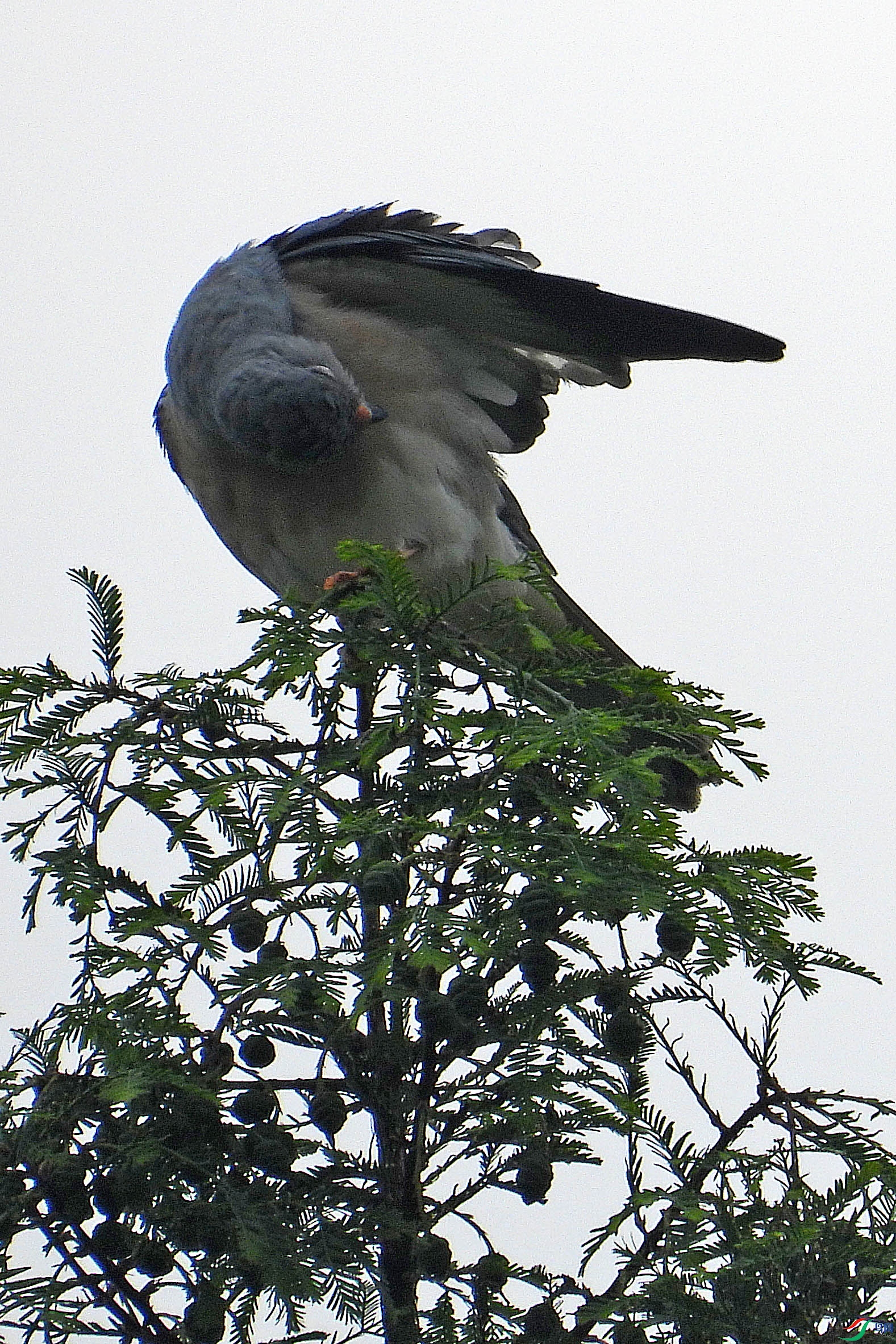 DSCN6013.JPG