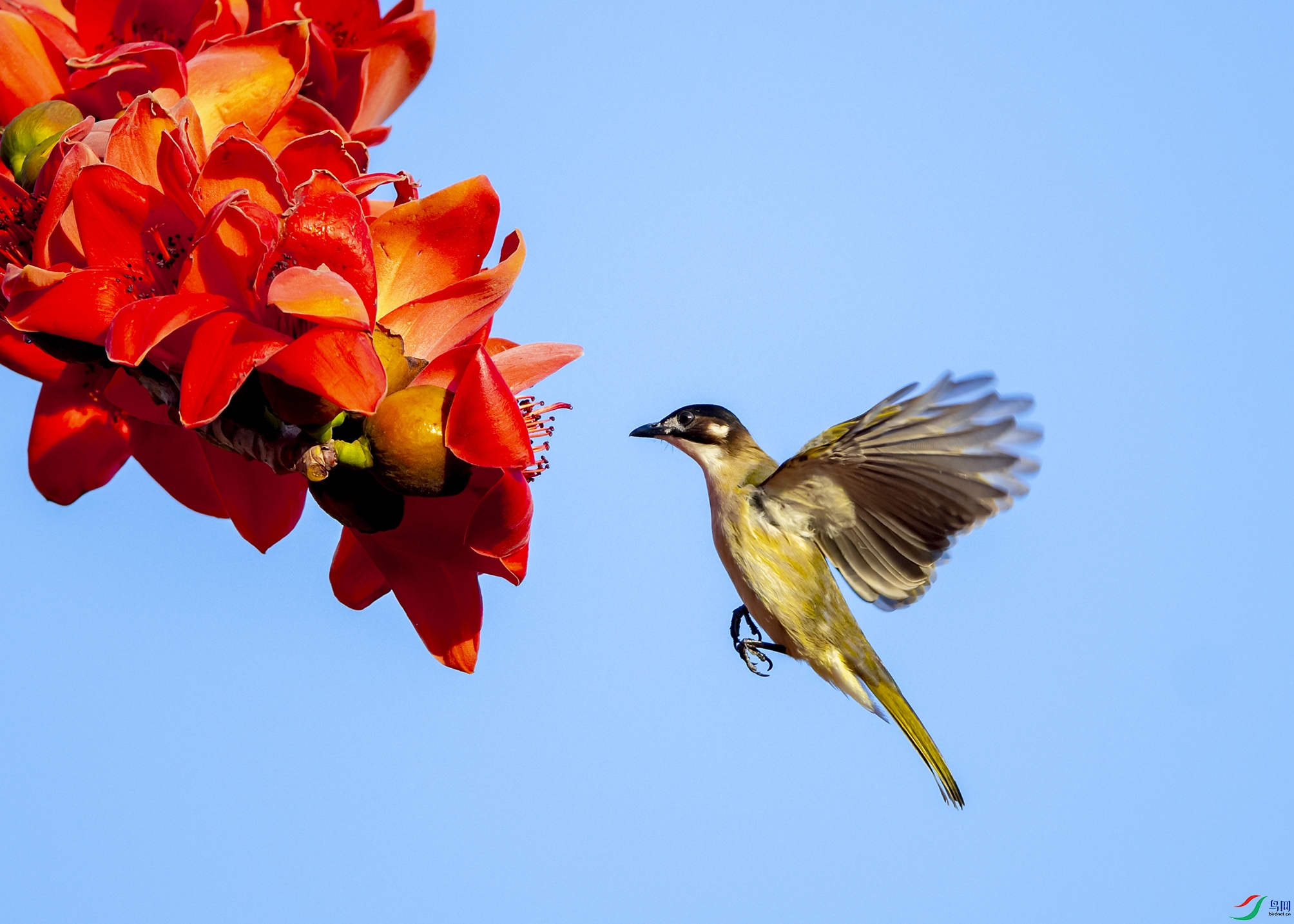 2195 ����.jpg