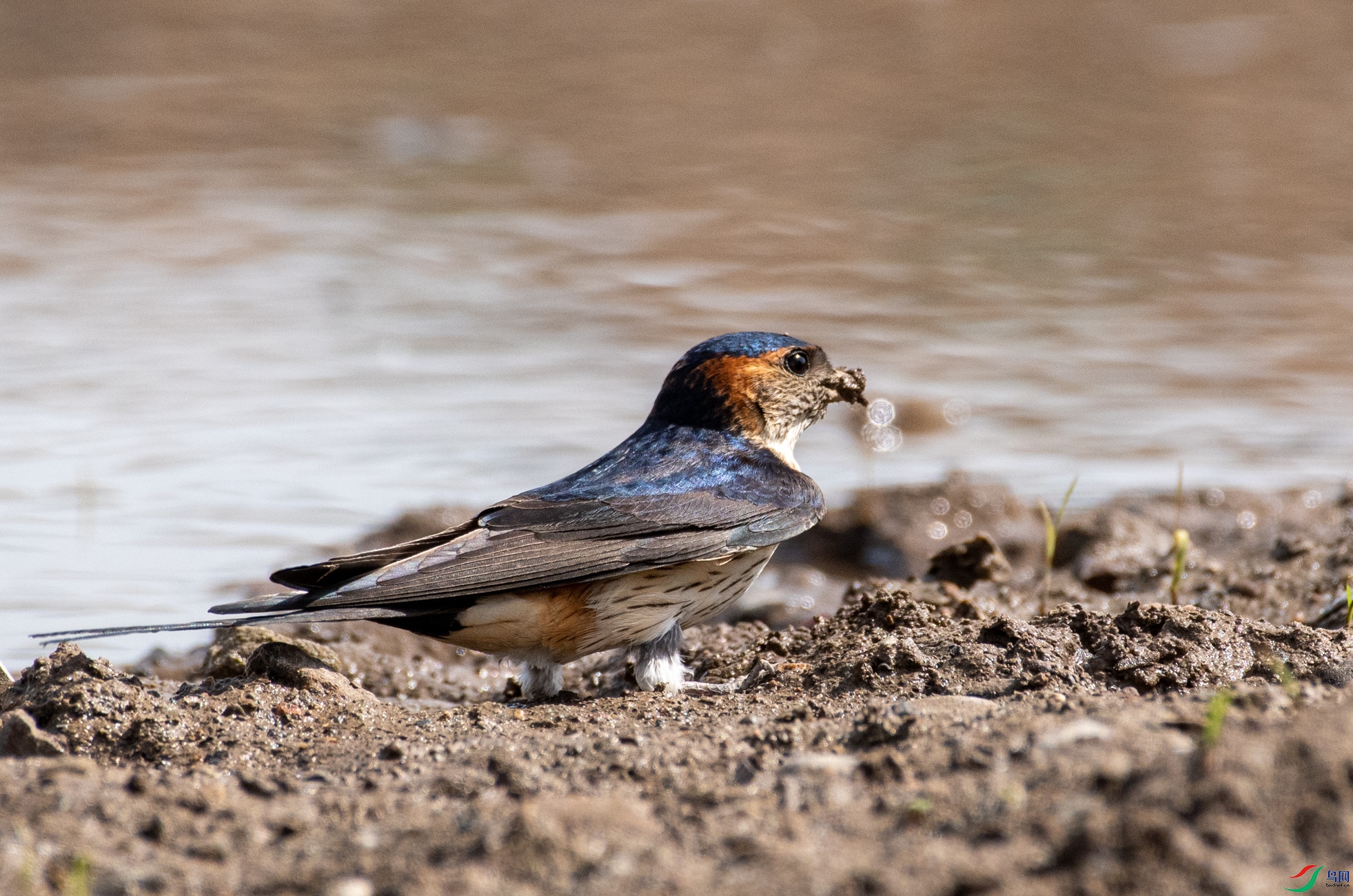 DSC_1877.jpg