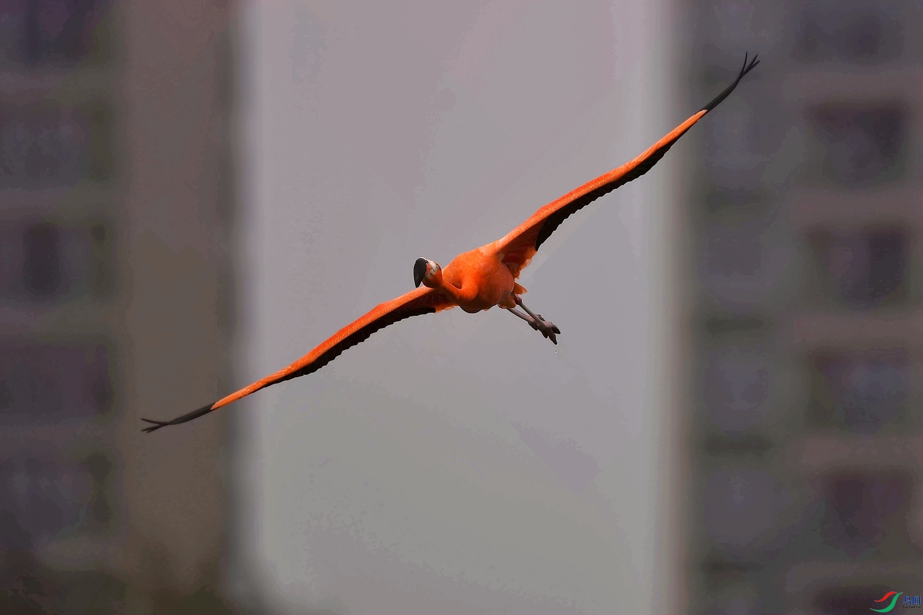 DSC_2316_����.jpg