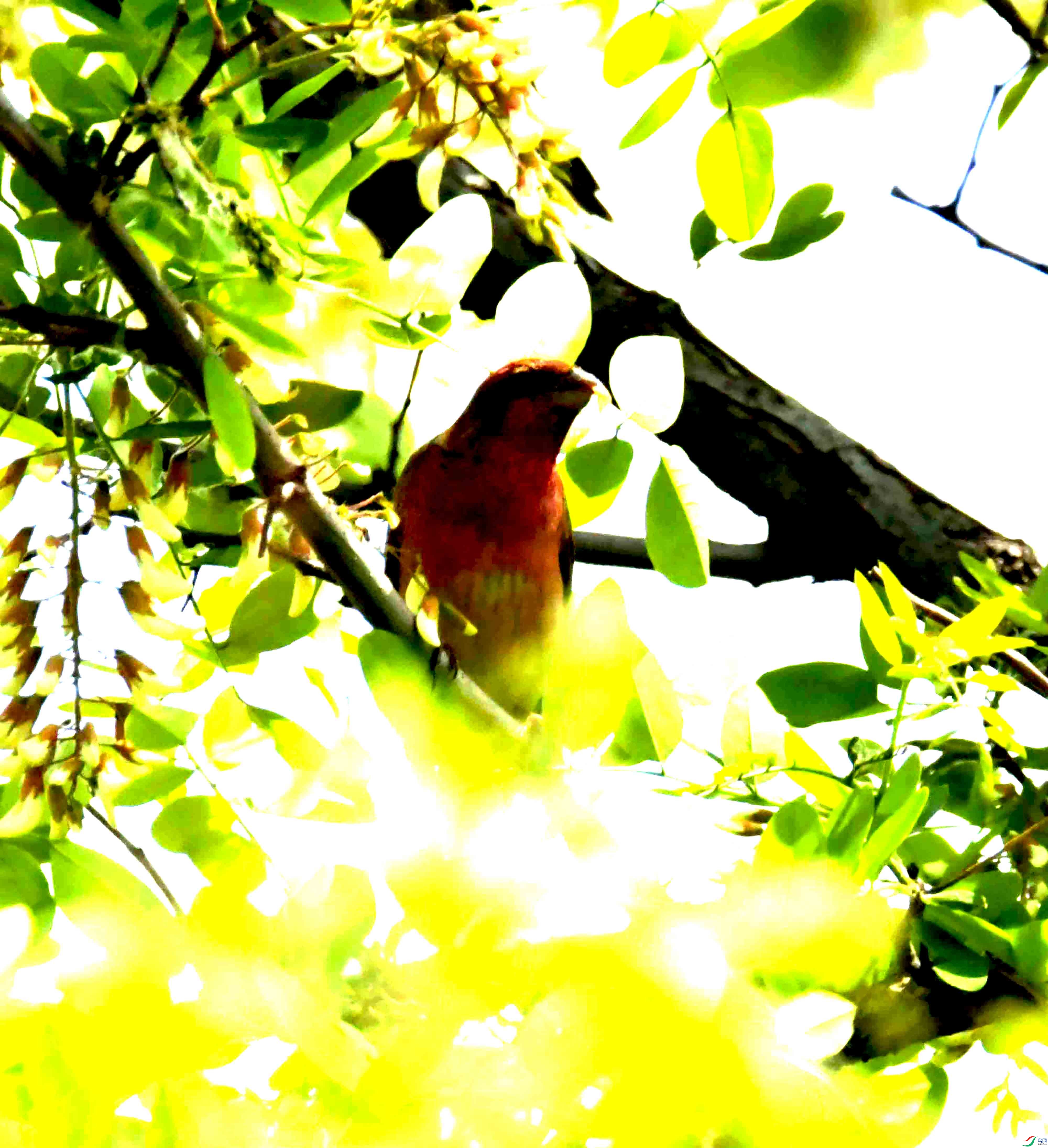 DSC_8380.JPG