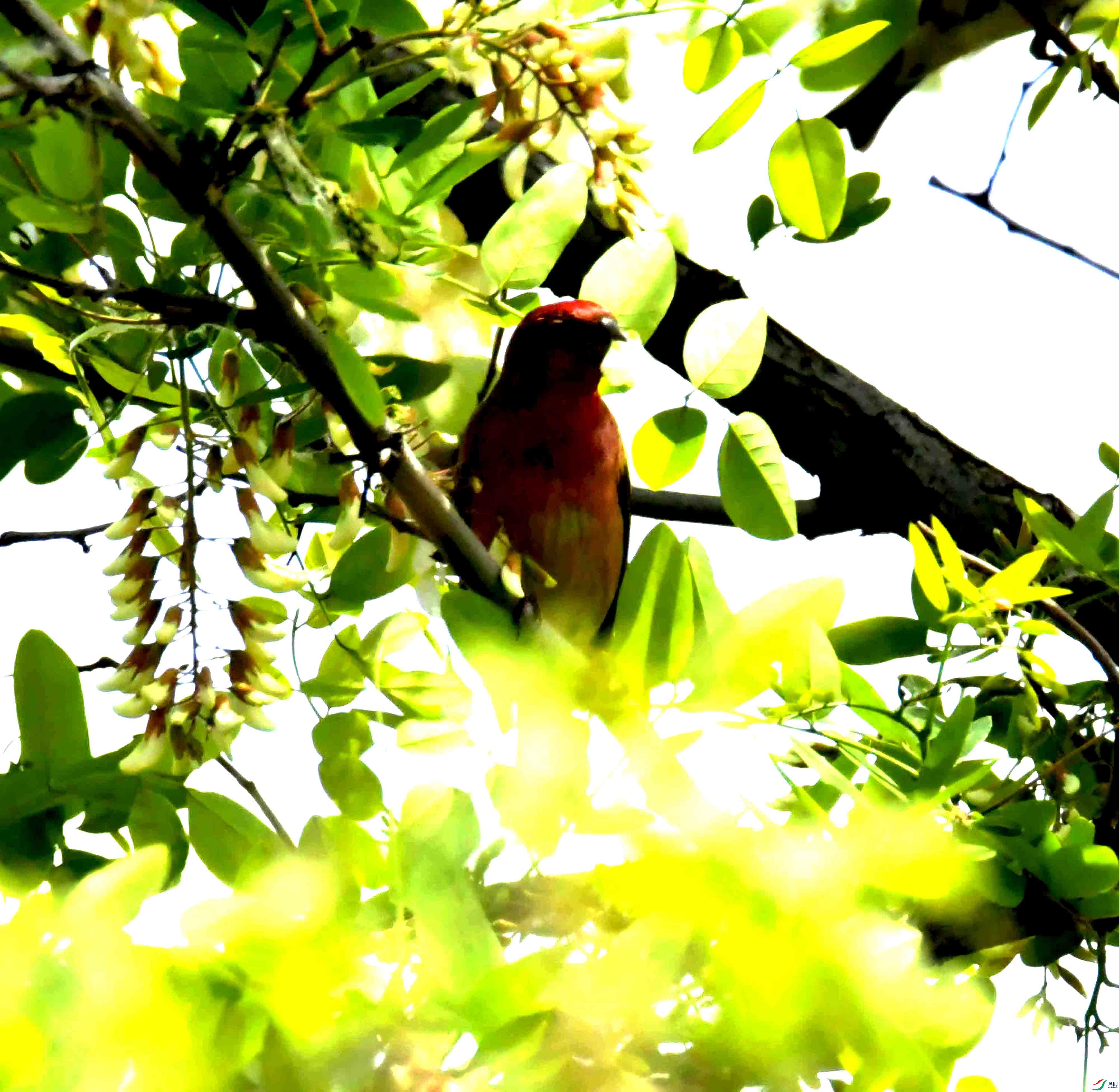 DSC_8406.JPG