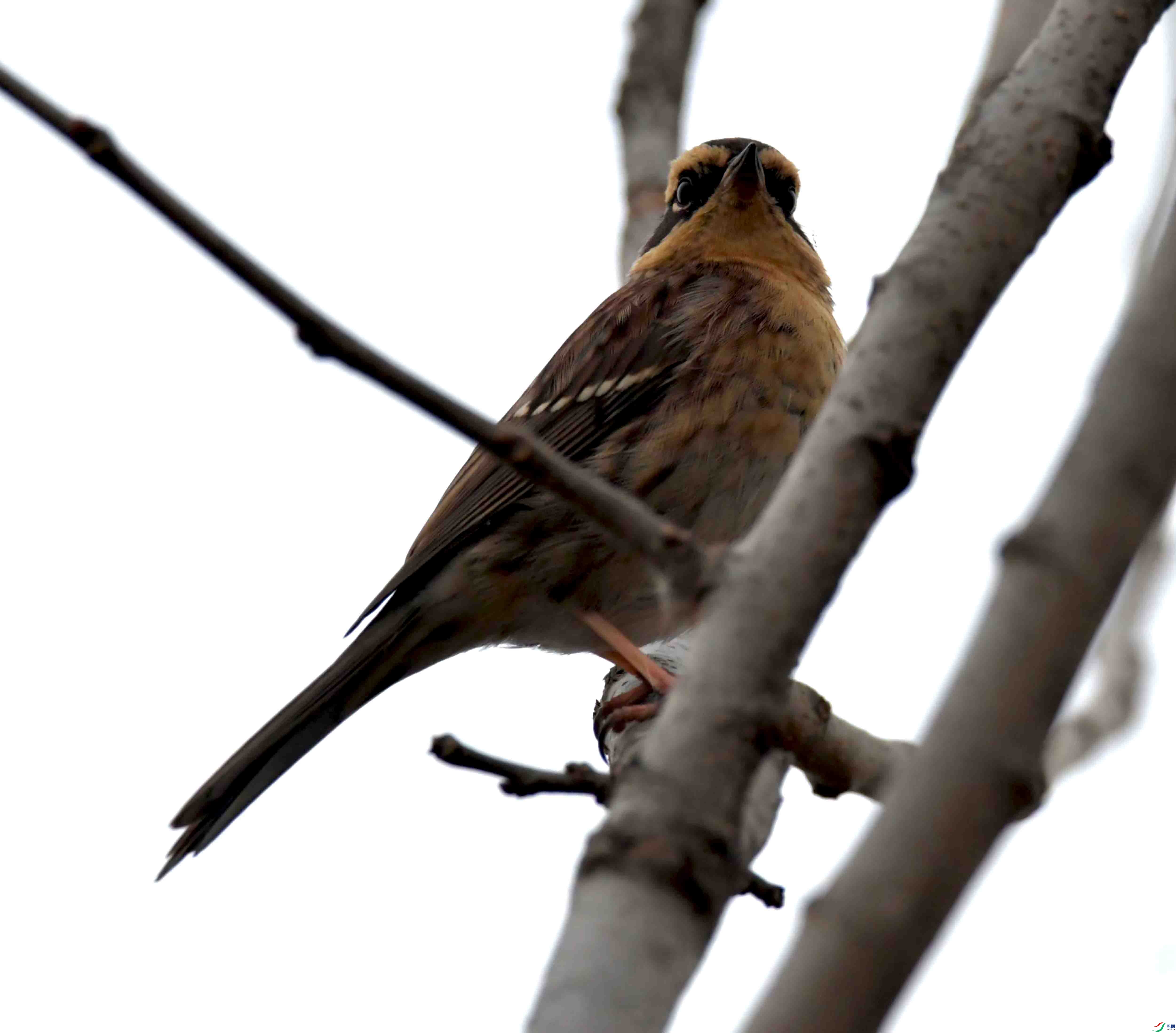 DSC_3358.JPG