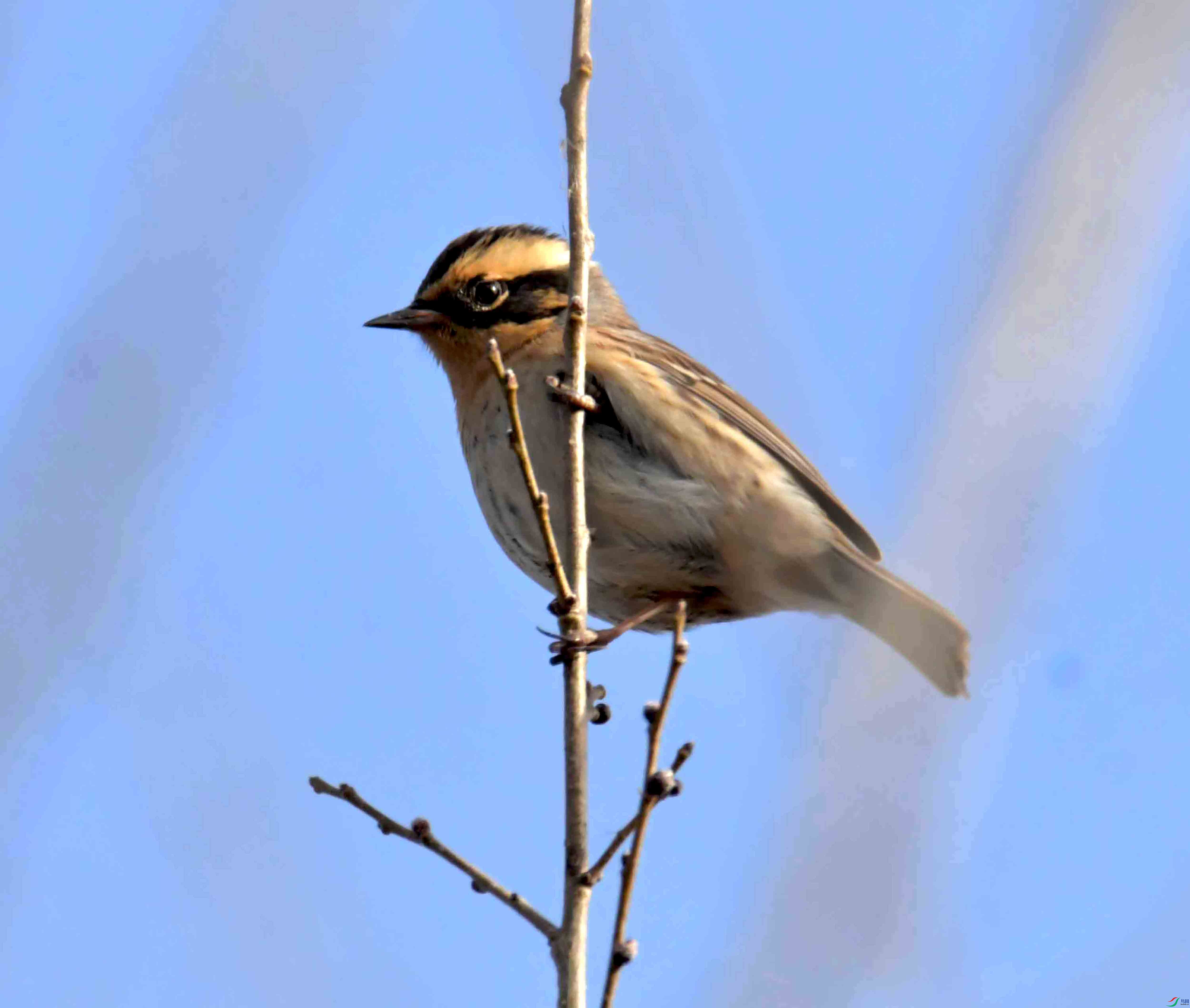 DSC_3640.JPG