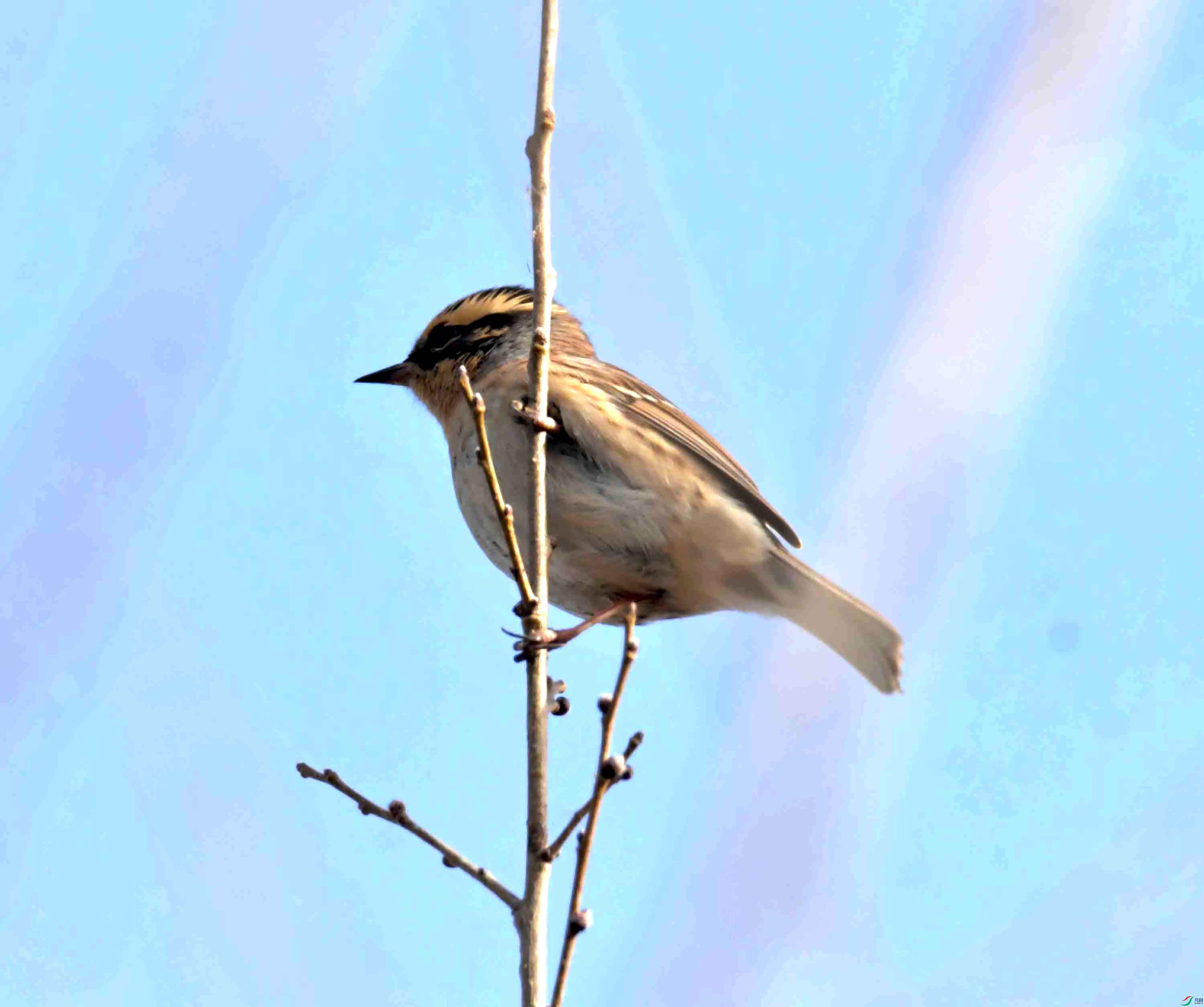 DSC_3649.JPG