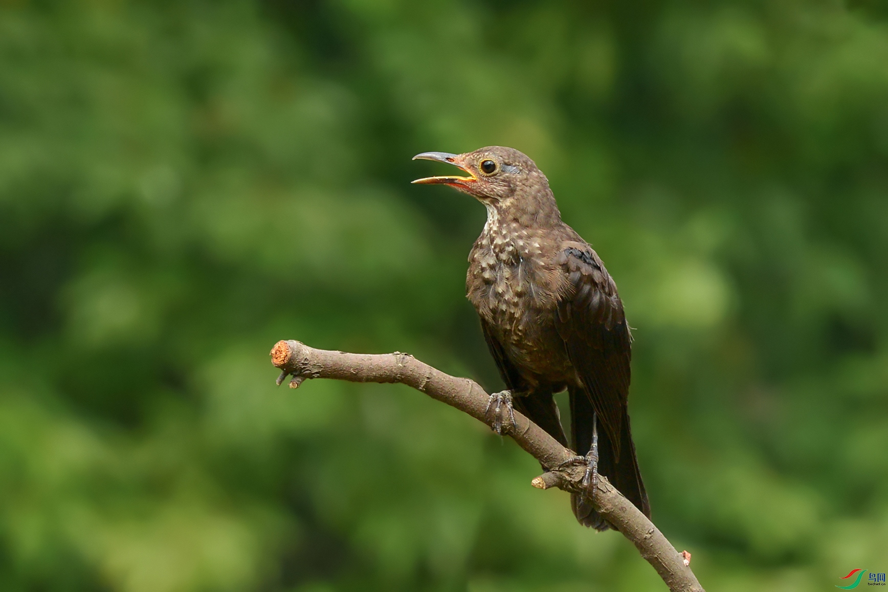 3DSC_0060_DxOa.jpg