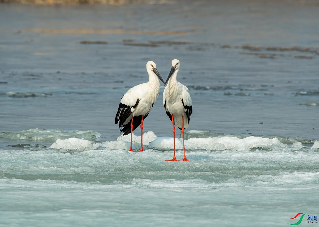 DSC_9255-0.jpg