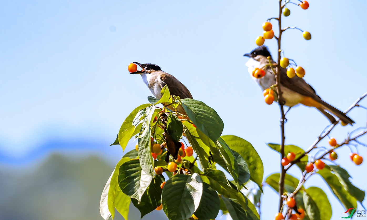 _30I6819 ����a-4cc.jpg