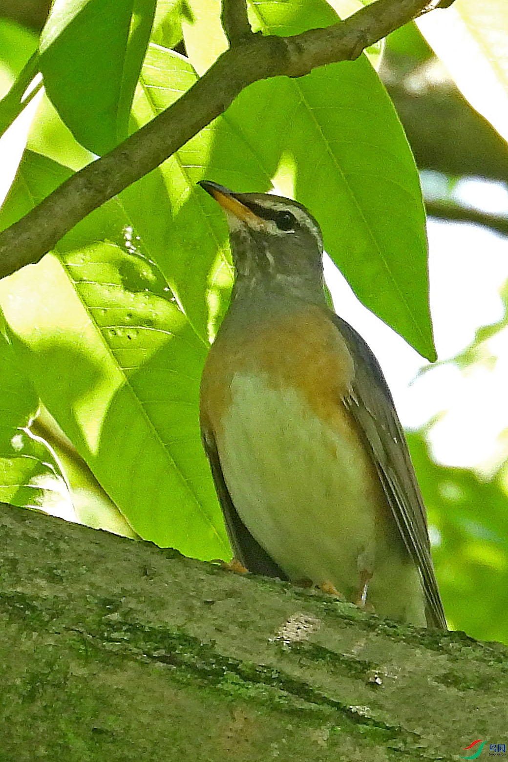 DSCN6259.JPG