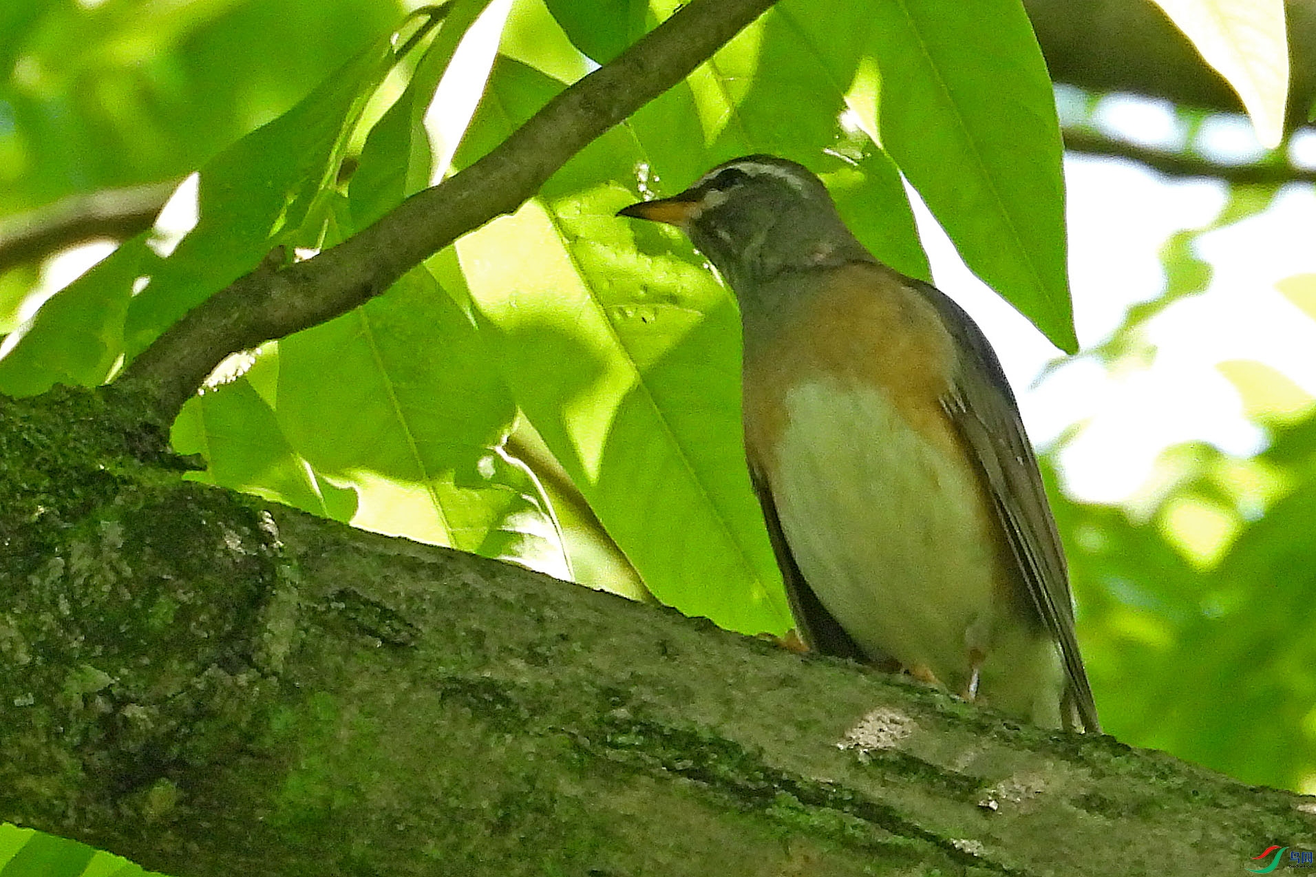 DSCN6261.JPG