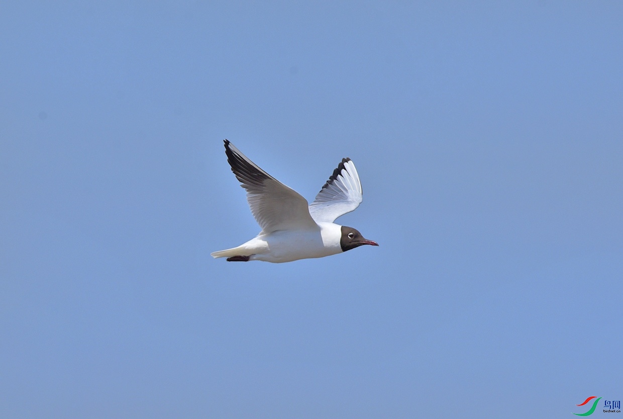 DSC_9925.jpg