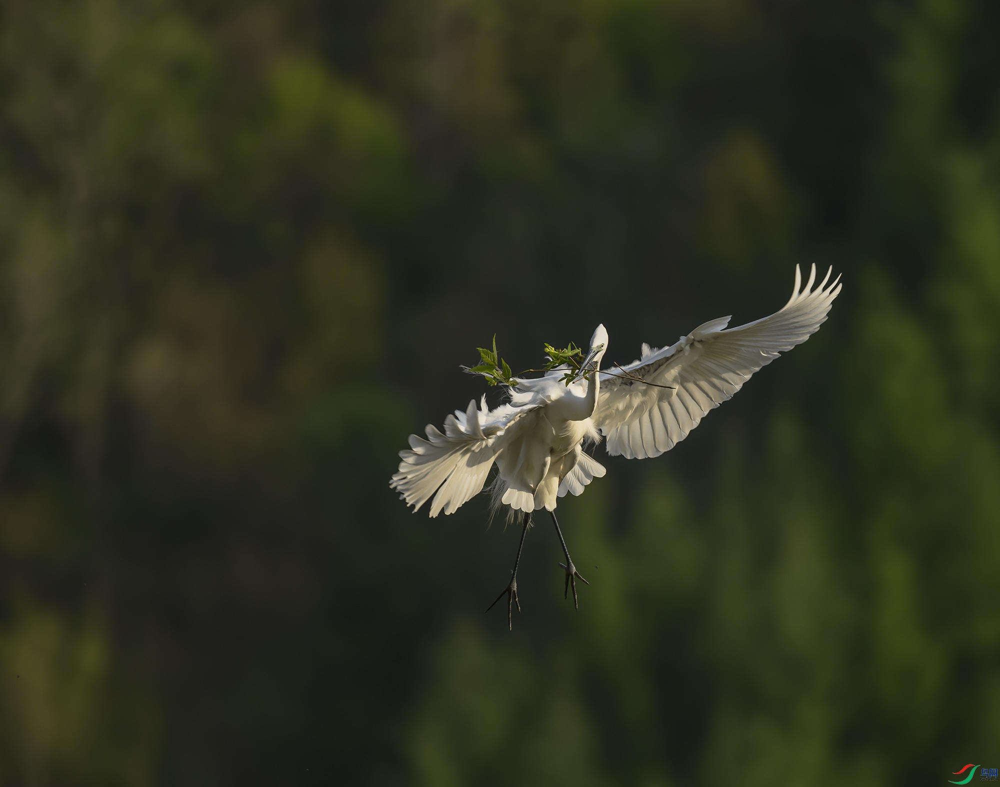 DSC_5793.jpg