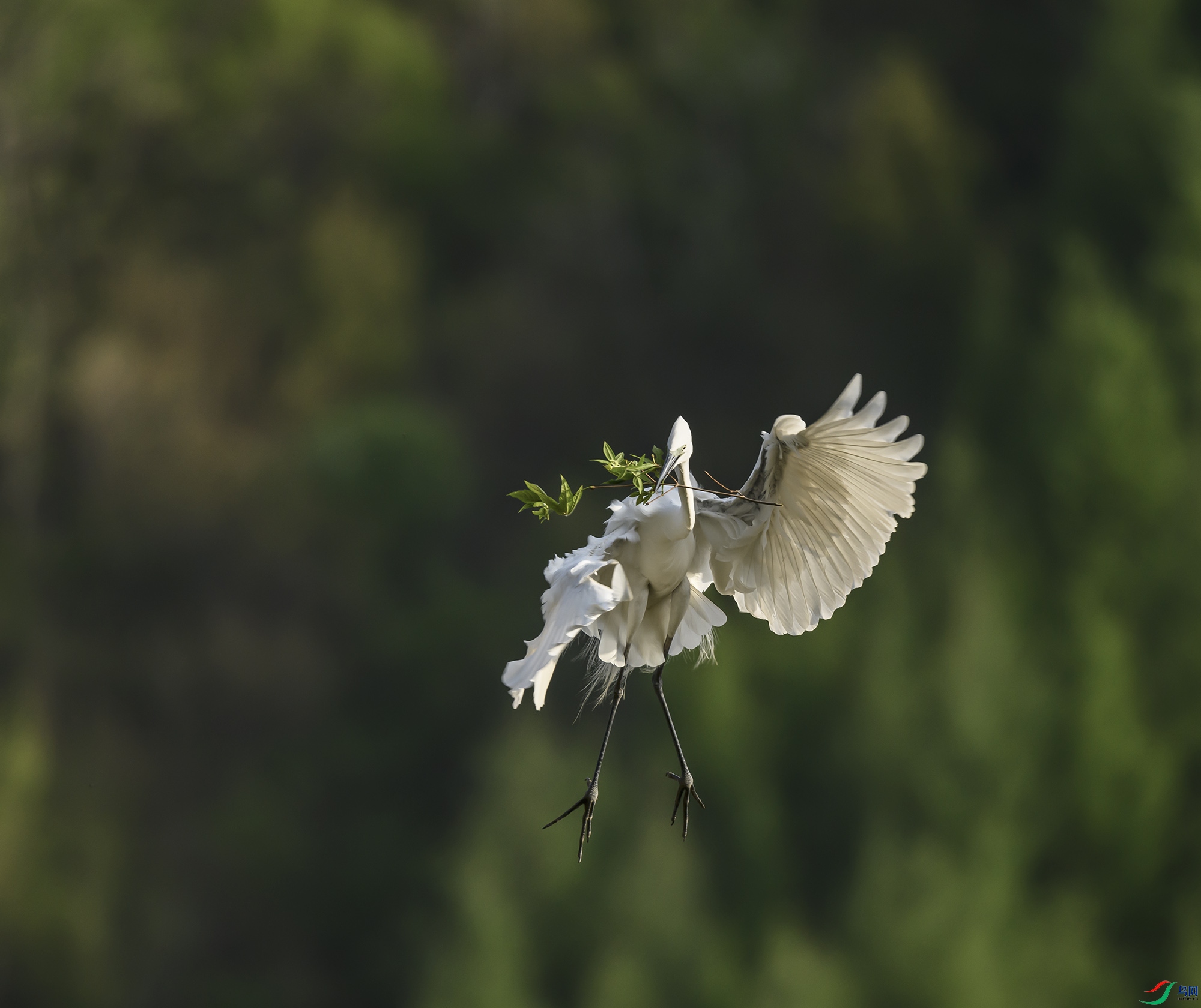 DSC_5795.jpg