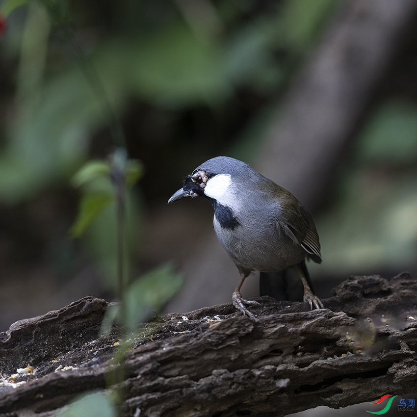 2F5A1621 ����.jpg22.jpg