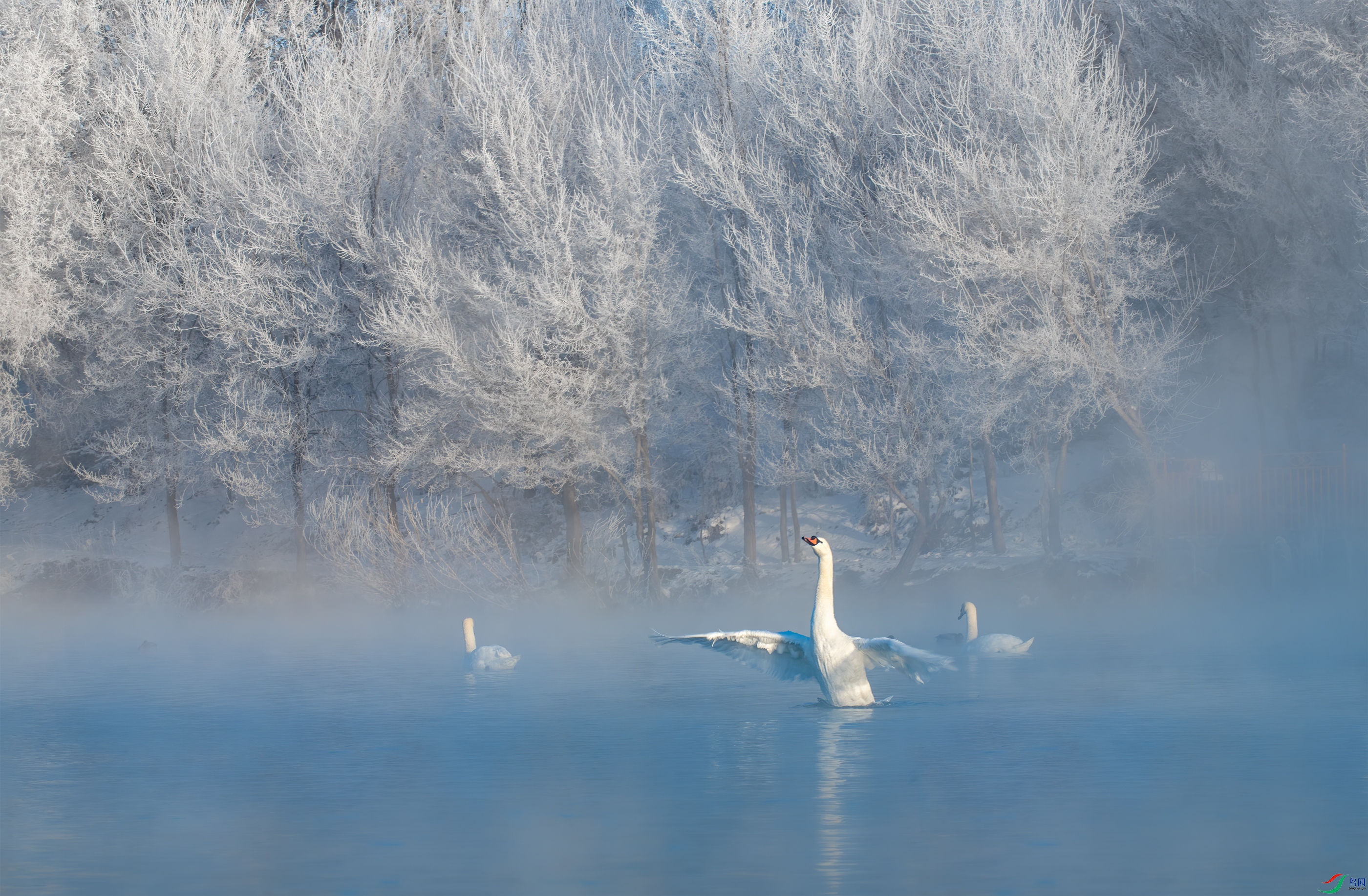 DSC_3801-11.jpg