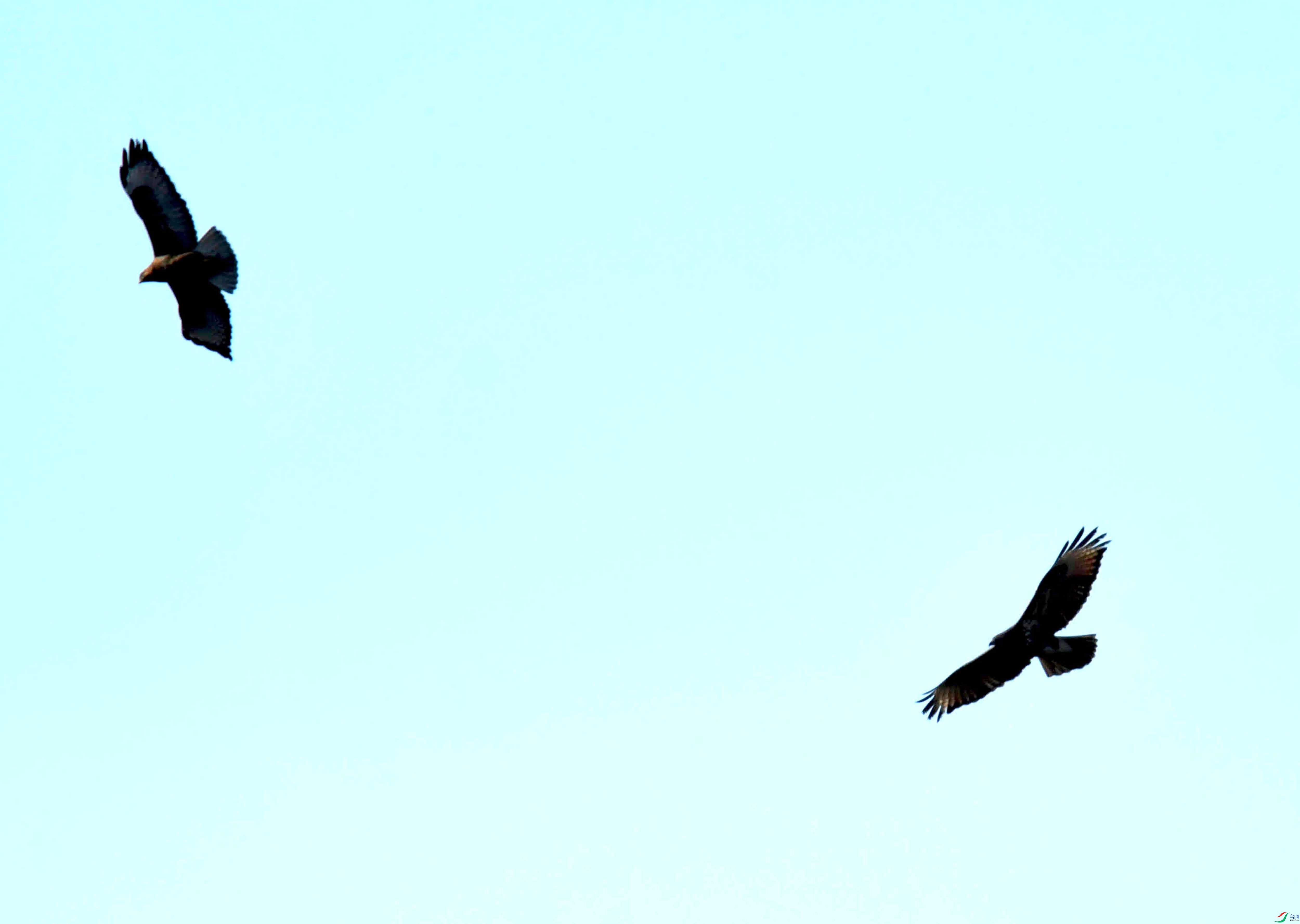 DSC_0936.JPG