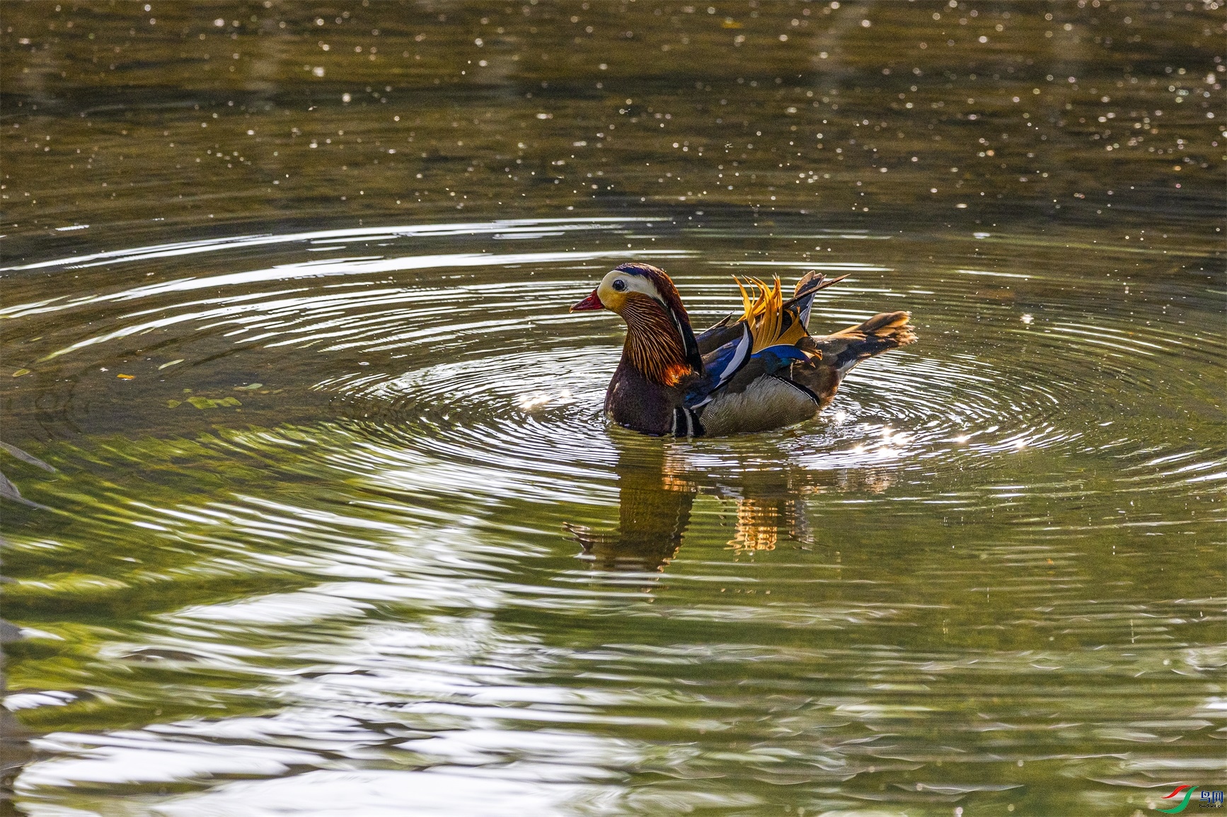 1K3A5768 ����1.jpg