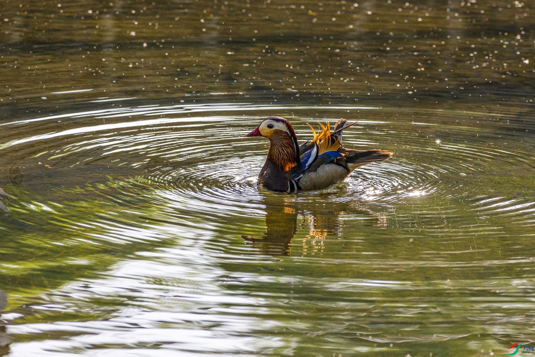 1K3A5766 ����1.jpg