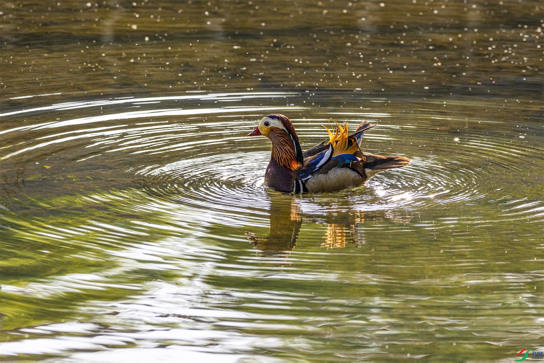 1K3A5769 ����1.jpg