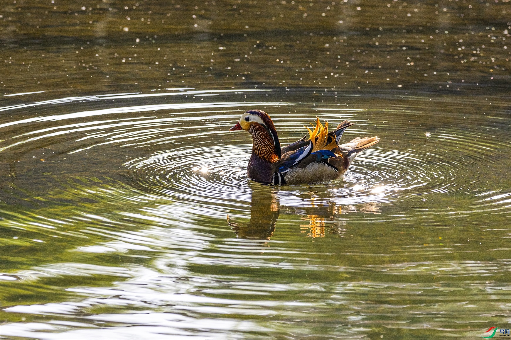 1K3A5770 ����1.jpg