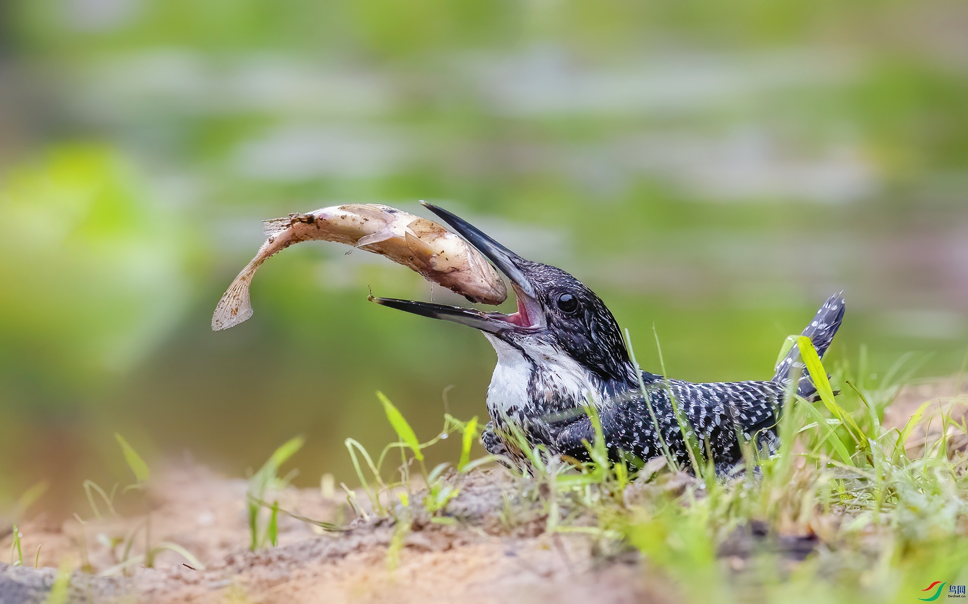 0D7A9852 ���� 2.jpg