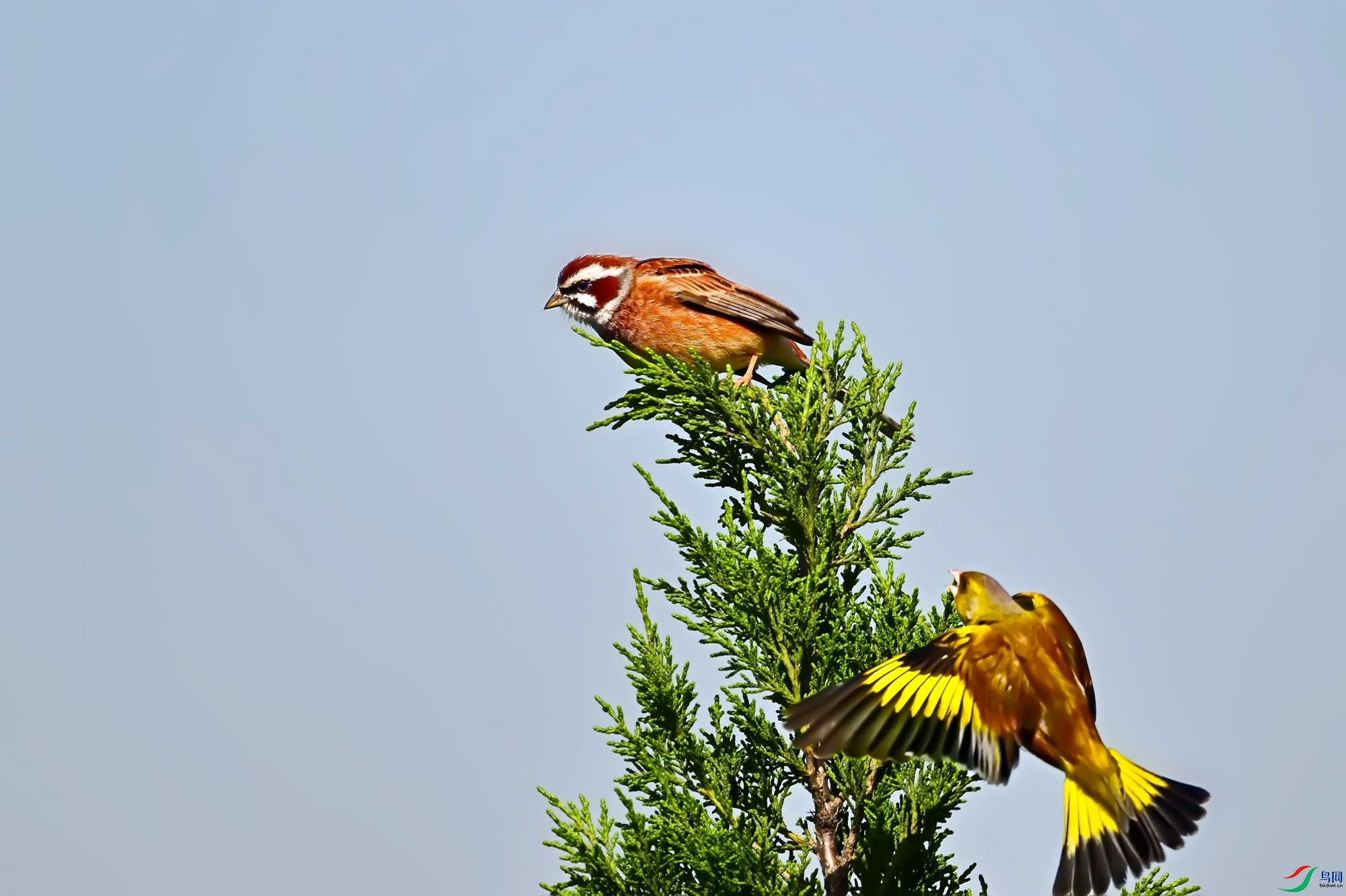 DSC_3135.jpg