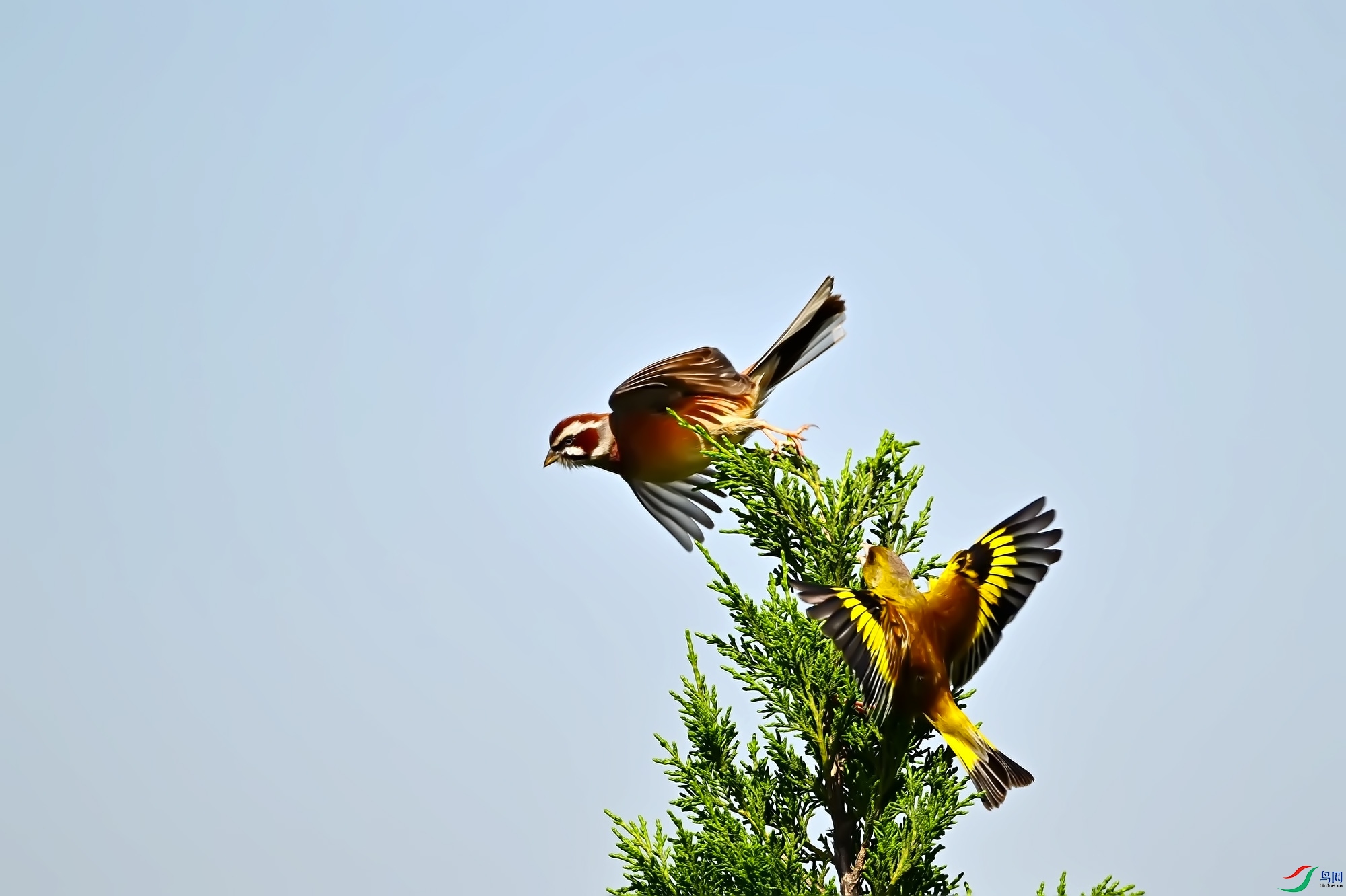 DSC_3136.jpg