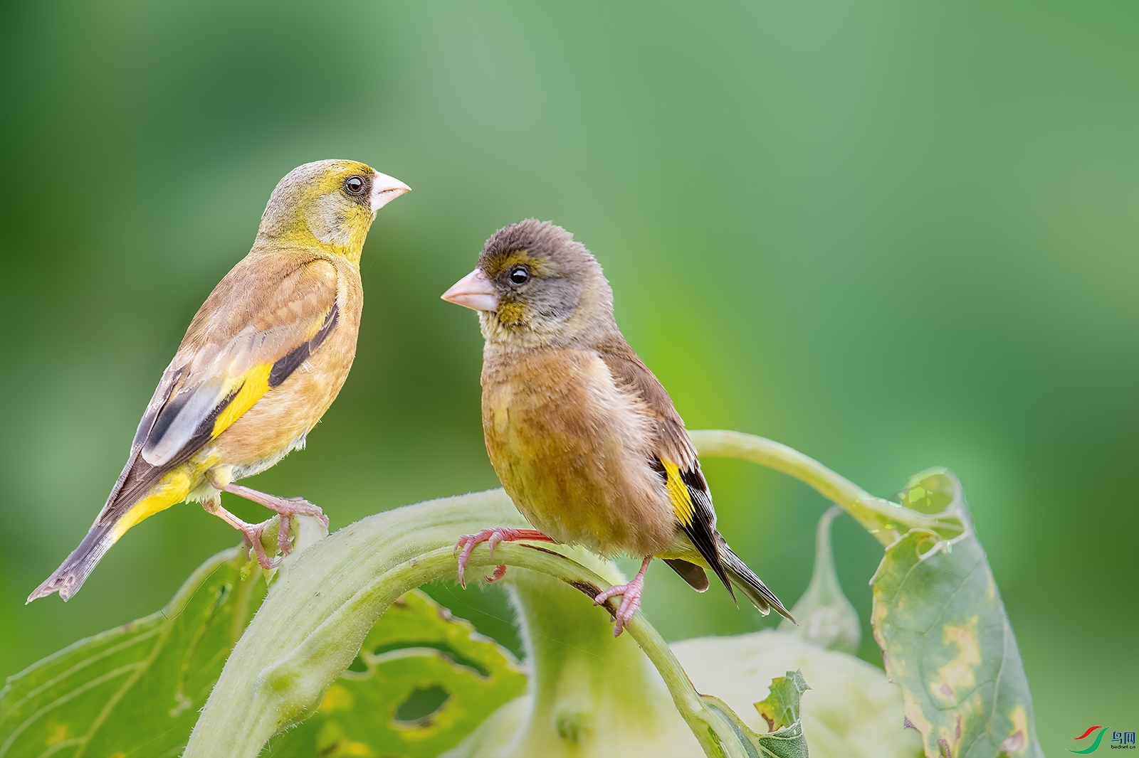 11BD0I9593 NW����.jpg