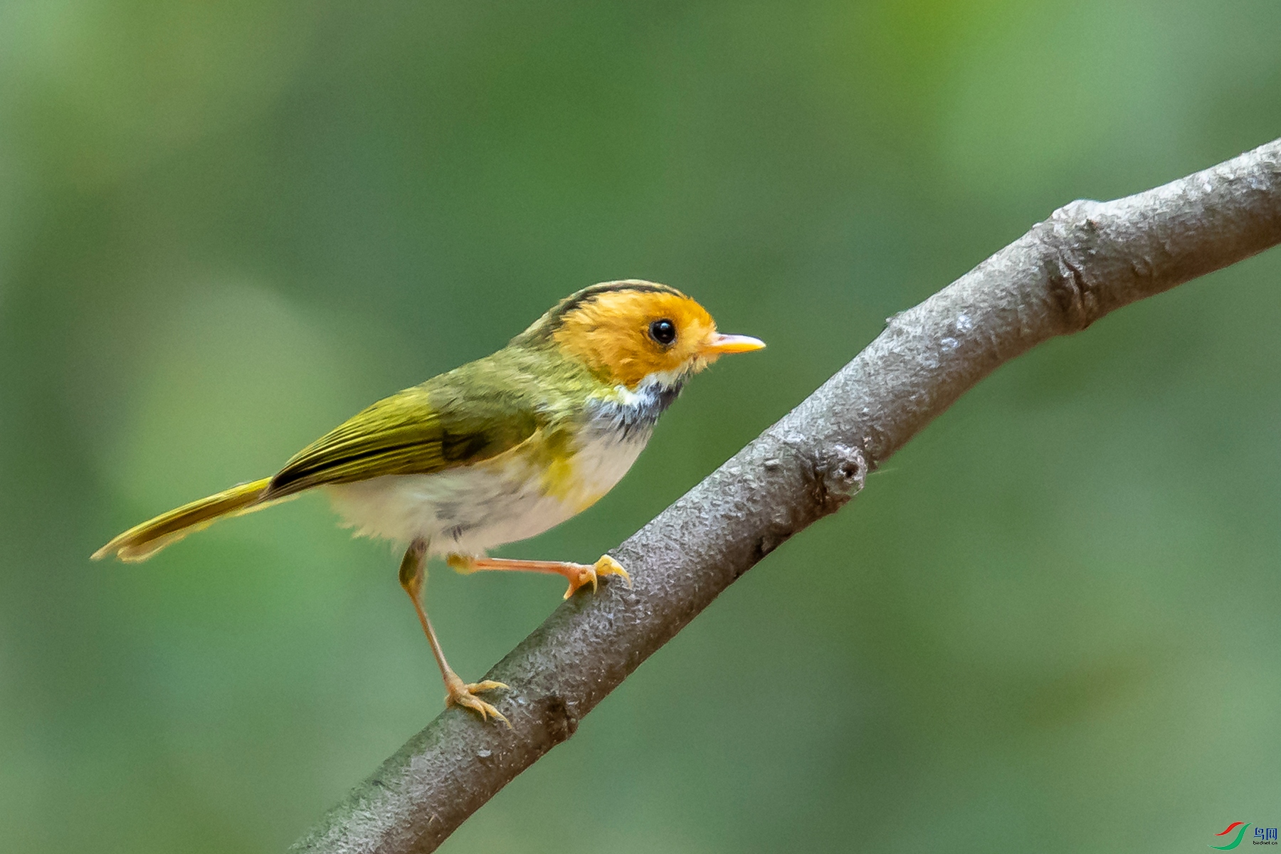 0Y8A6159 ����_����.jpg