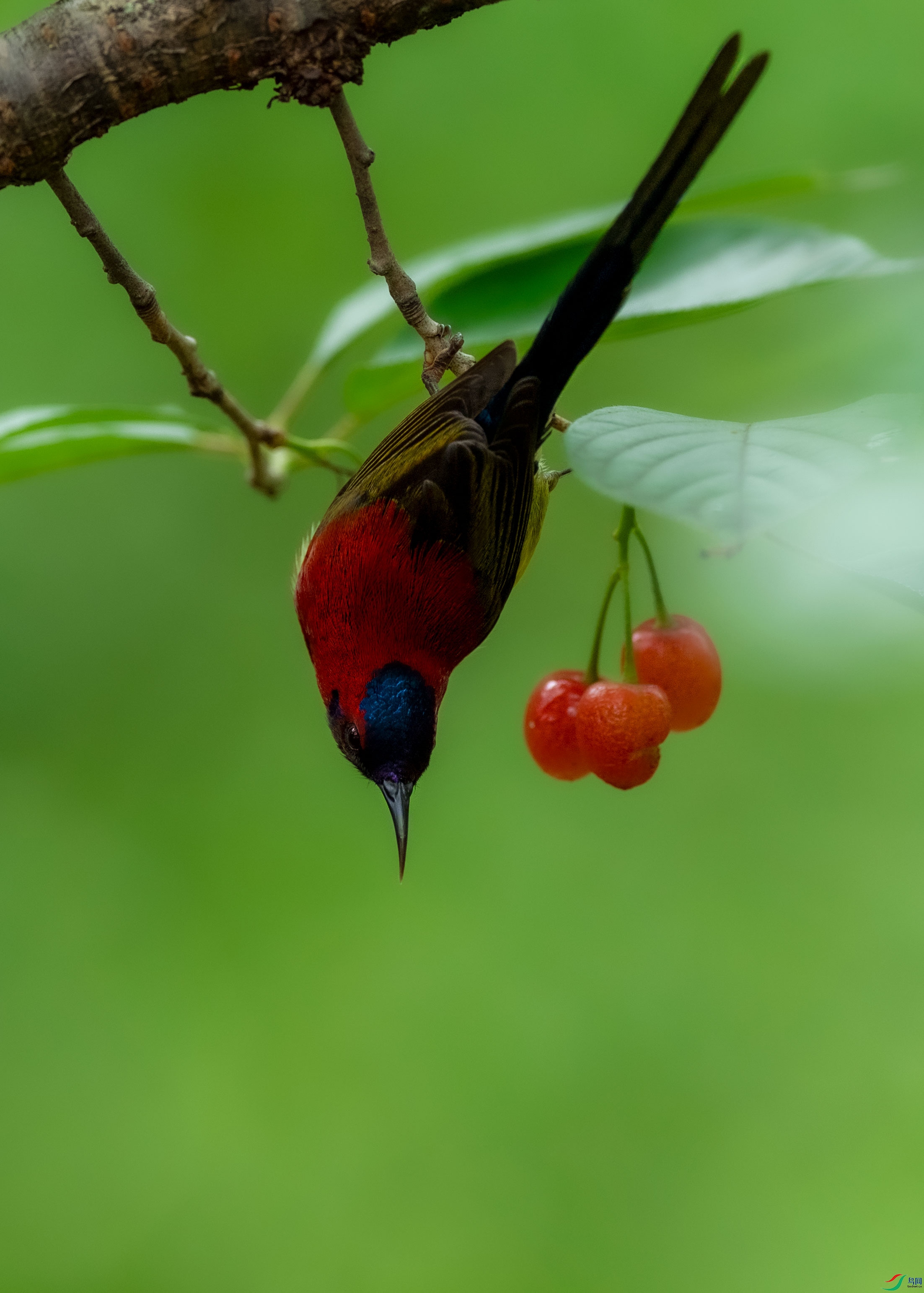 AAE_2909.jpg