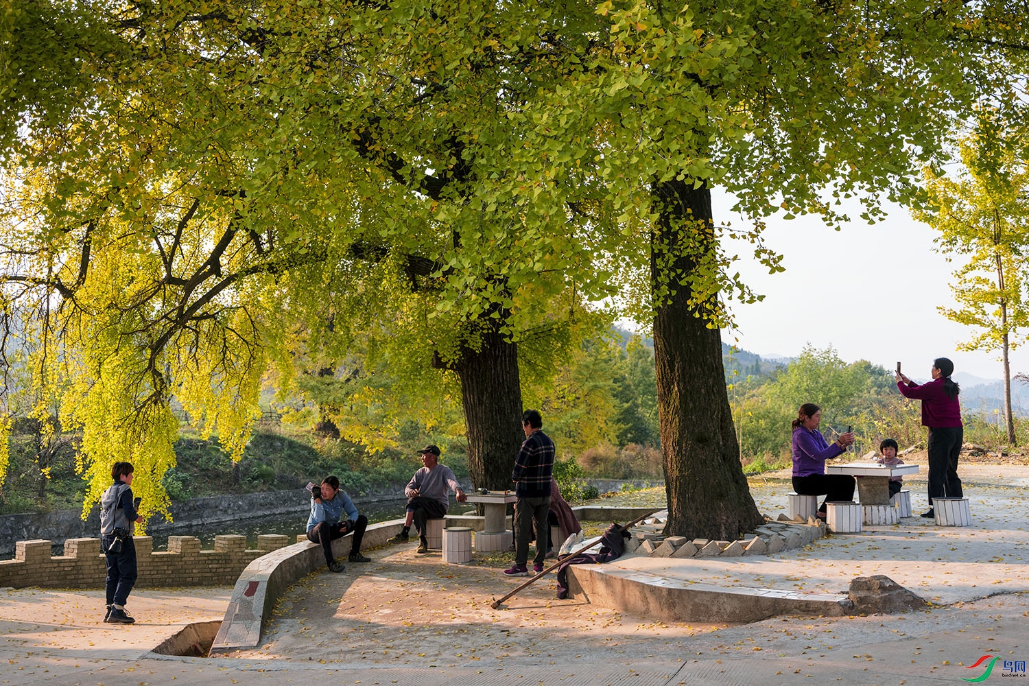 DSCF2067 ����.jpg