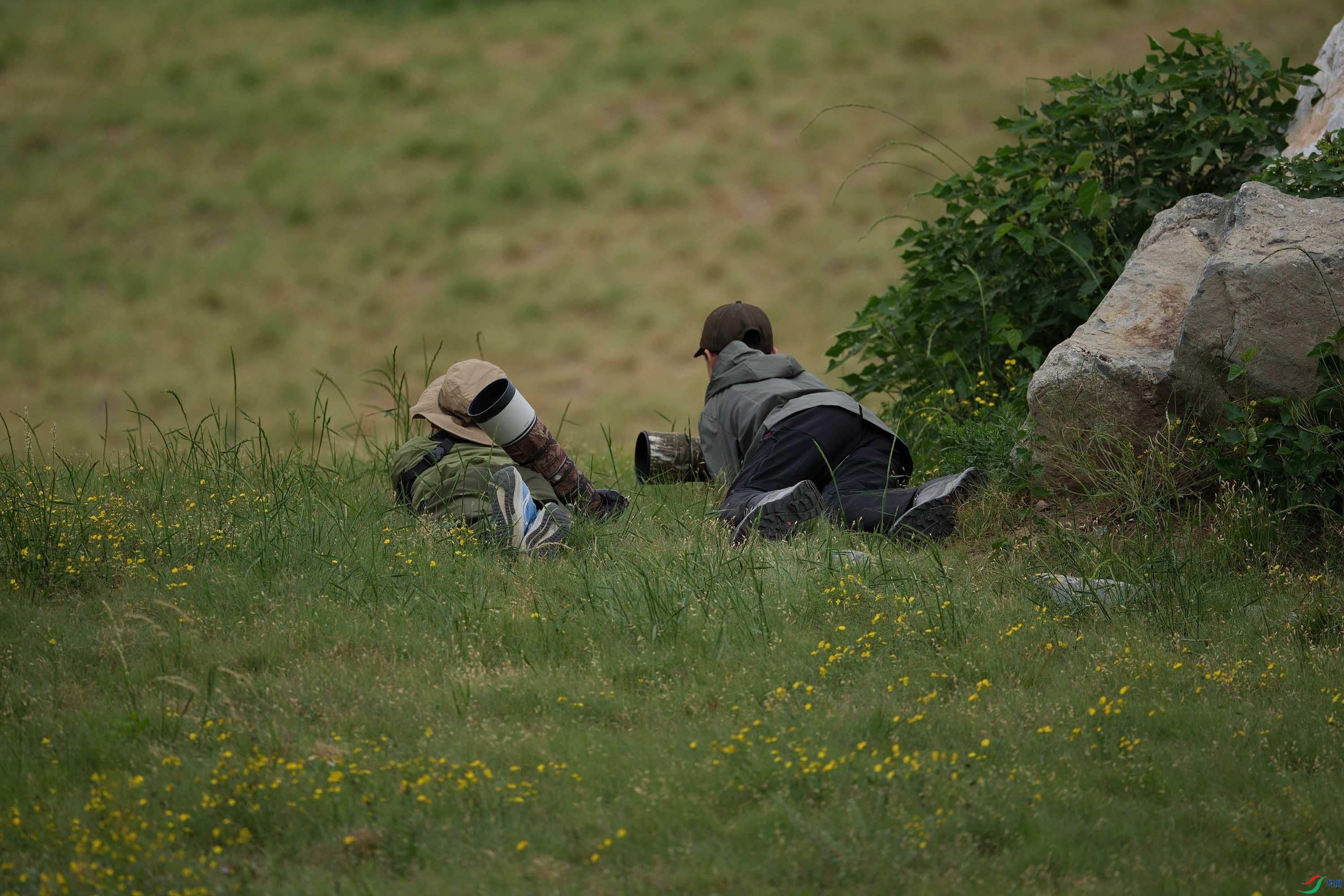 DSC00379 ����.jpg