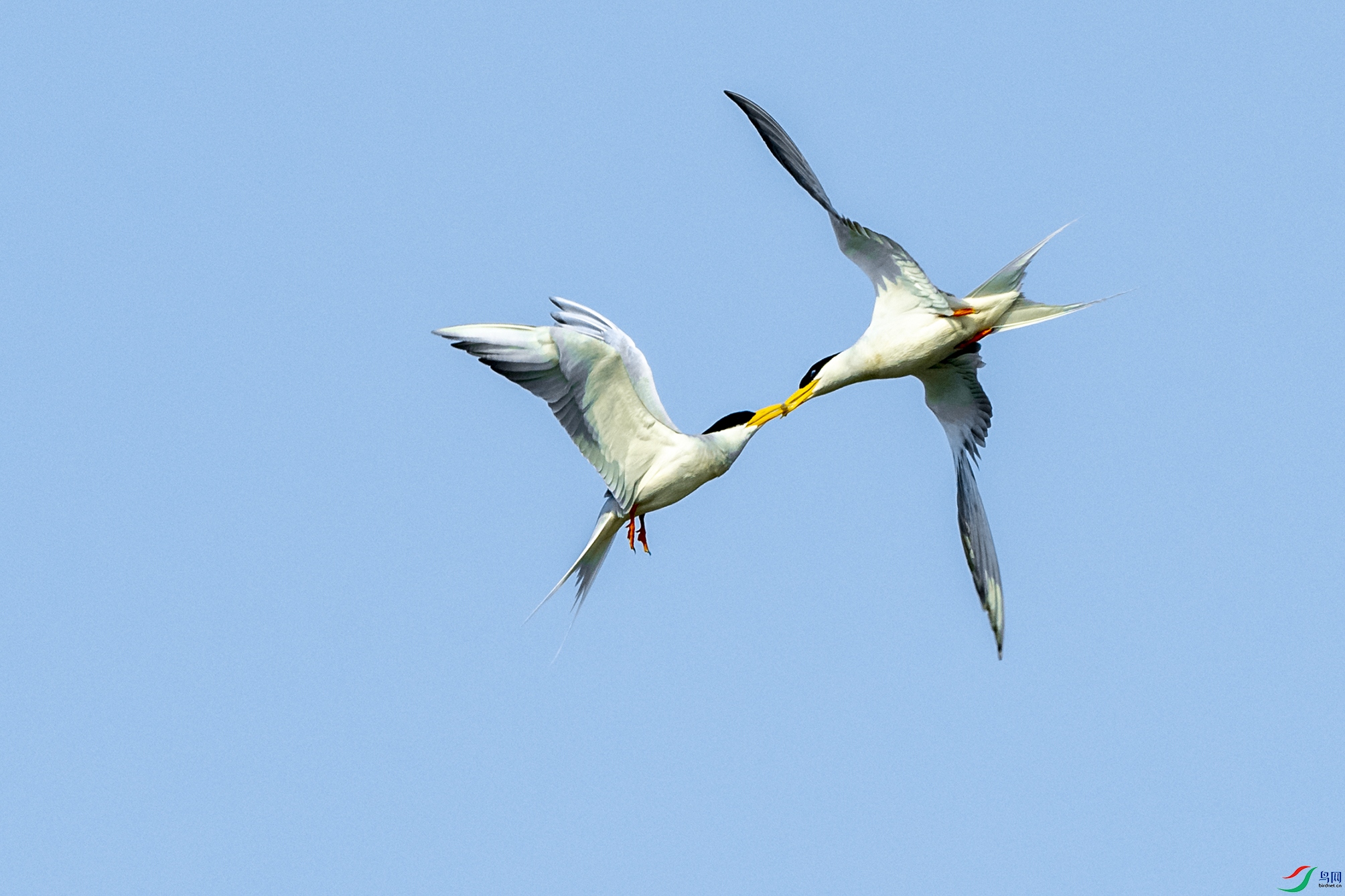 0650 ����.jpg