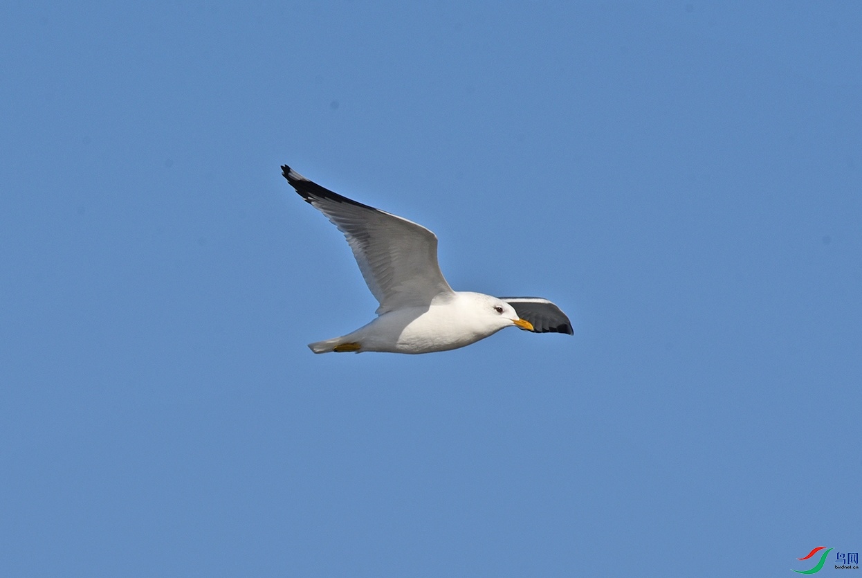 DSC_2652.jpg
