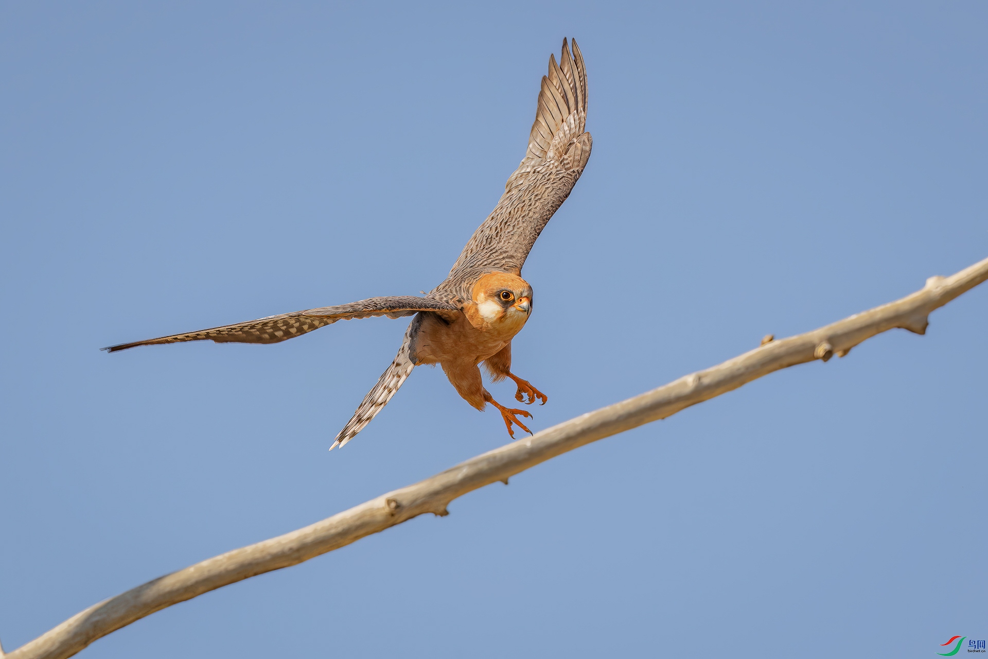 _60I8756 --- 2-57.jpg