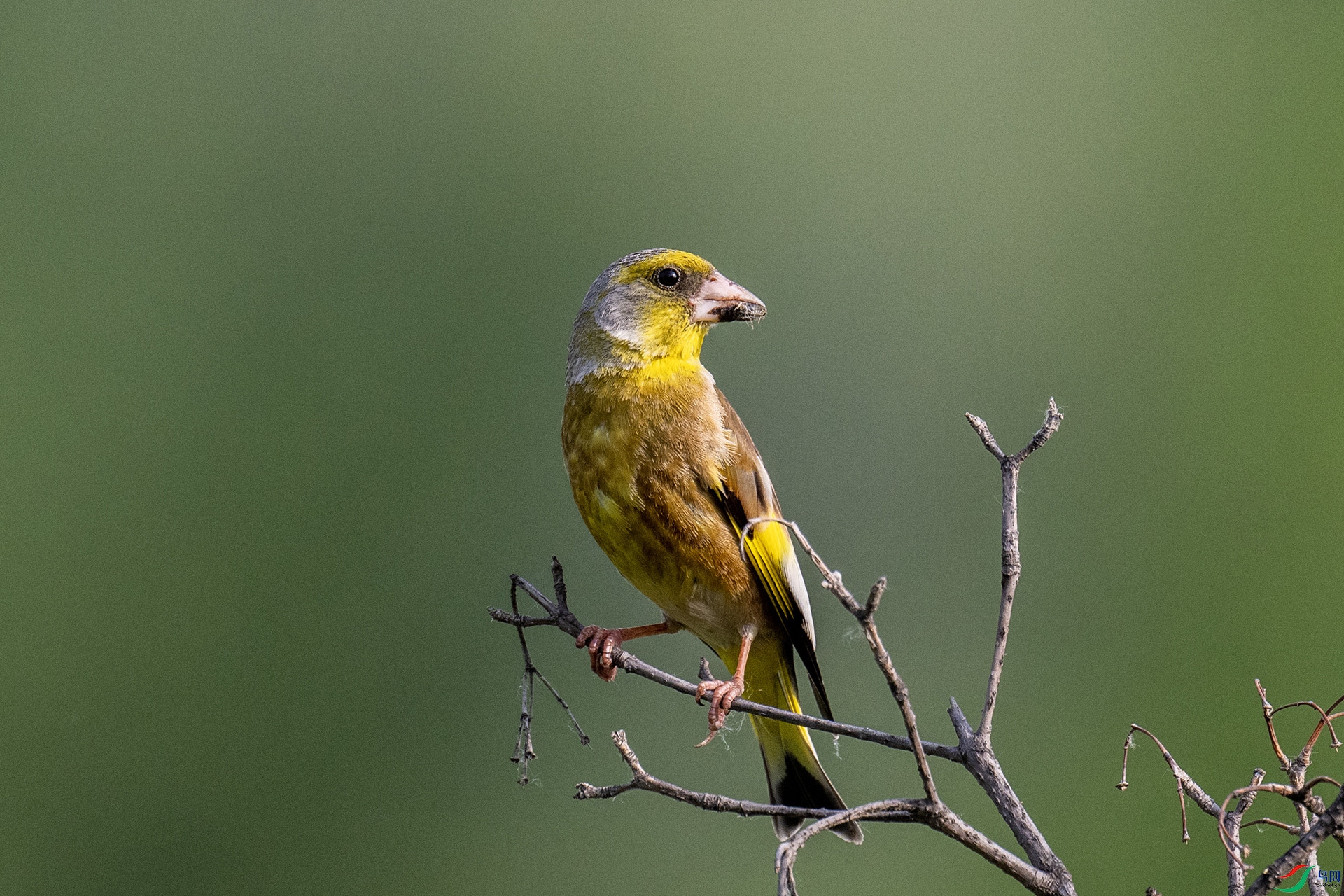 DSC_9241�᲻�õ�ѡ�� ���ȸ.jpg