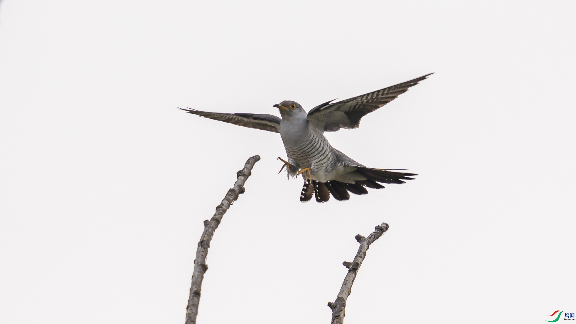 ���ɡ���ž� ��Ұ��ӰDSC01259.JPG