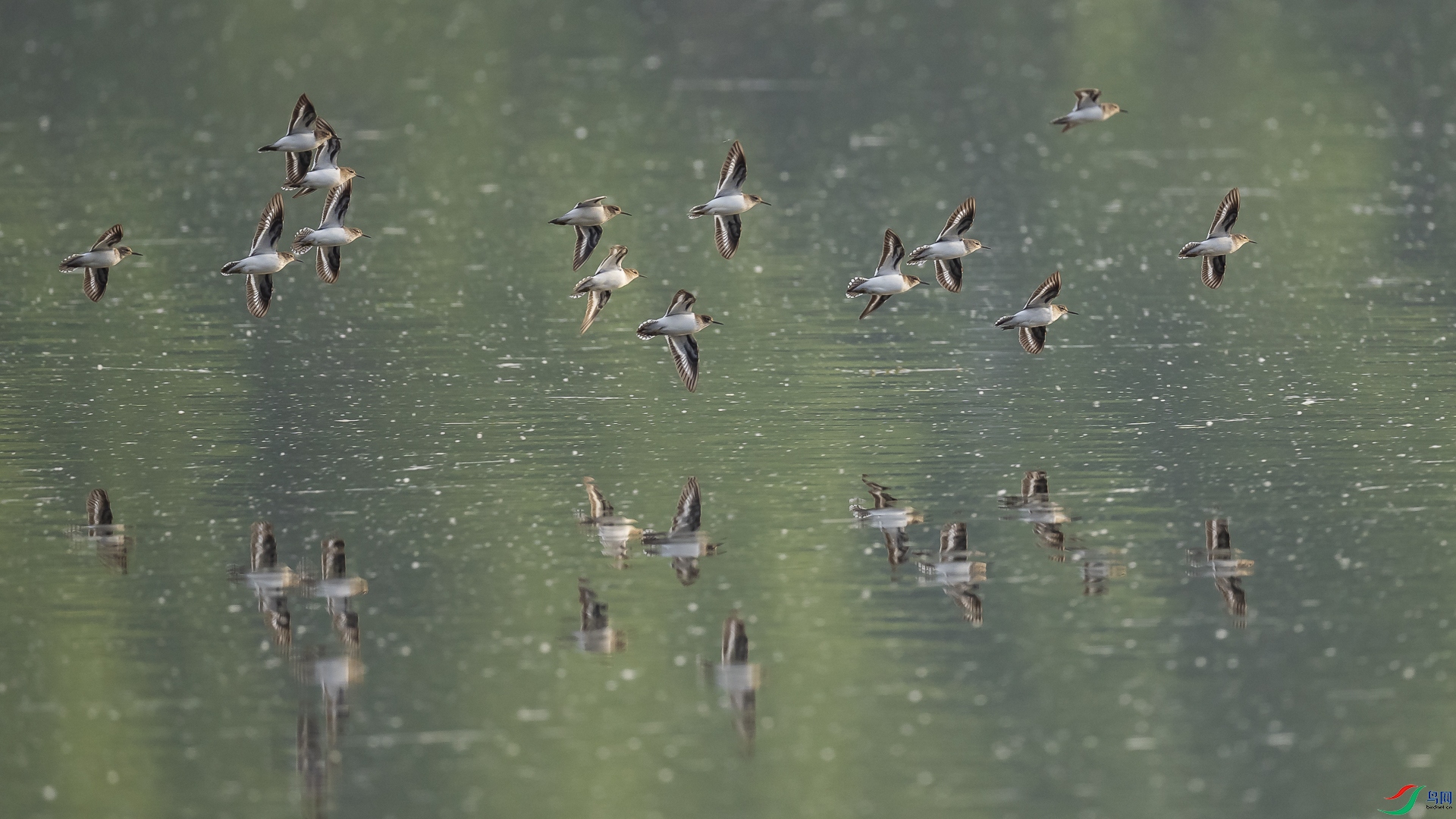 �����裩 ���� ����ľDSC01334.JPG