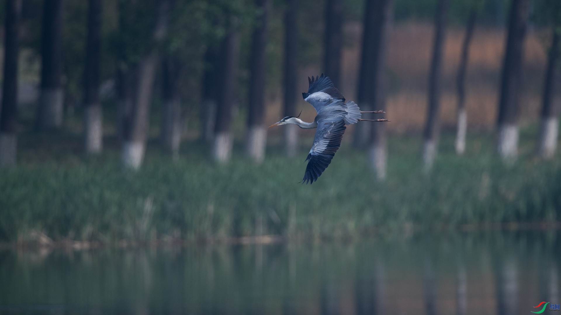 ������-���� .jpg